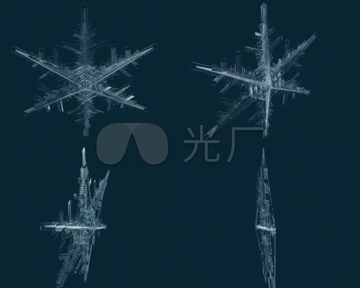 高精度水晶雪花三维模型_3dmax下载(编号:2929943)_3d