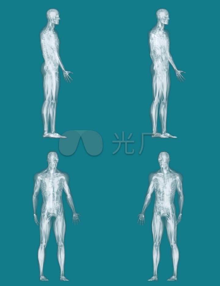 3d旋转人体扫描结构-alpha通道