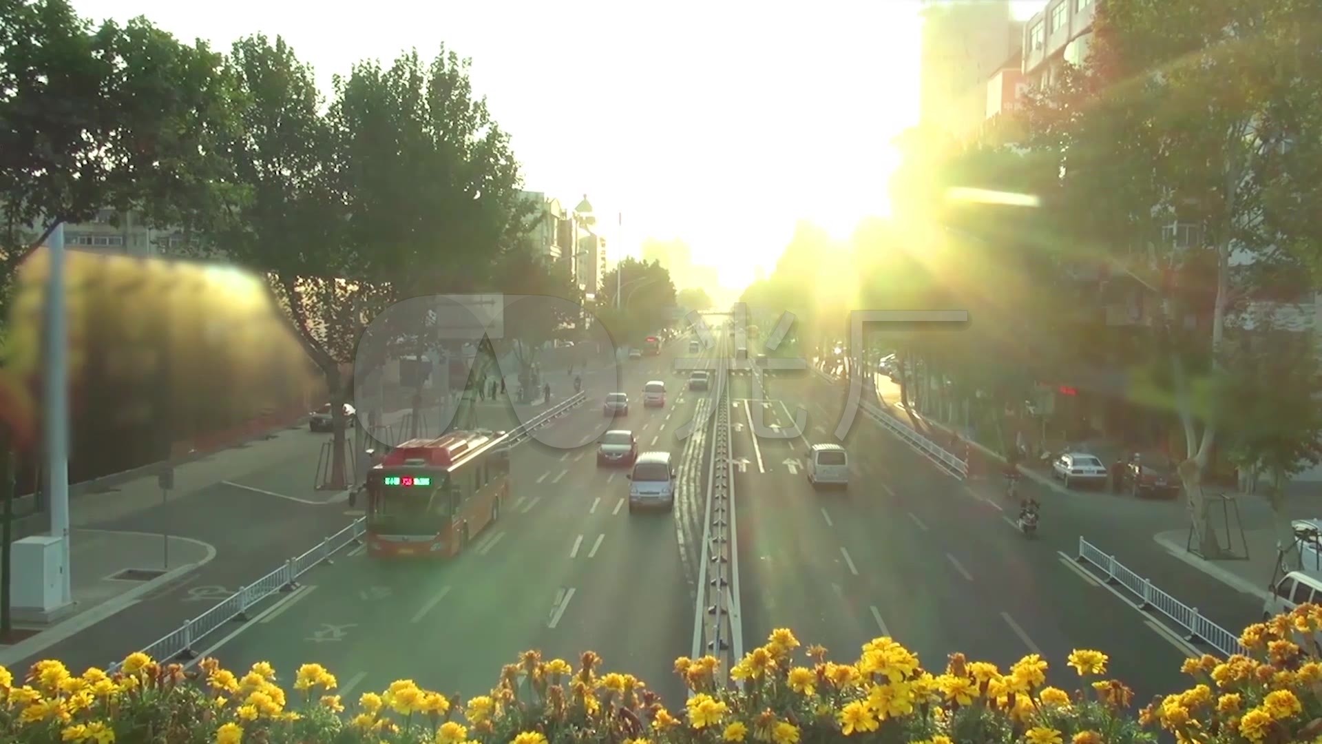 清晨逆光城市道路车水马龙