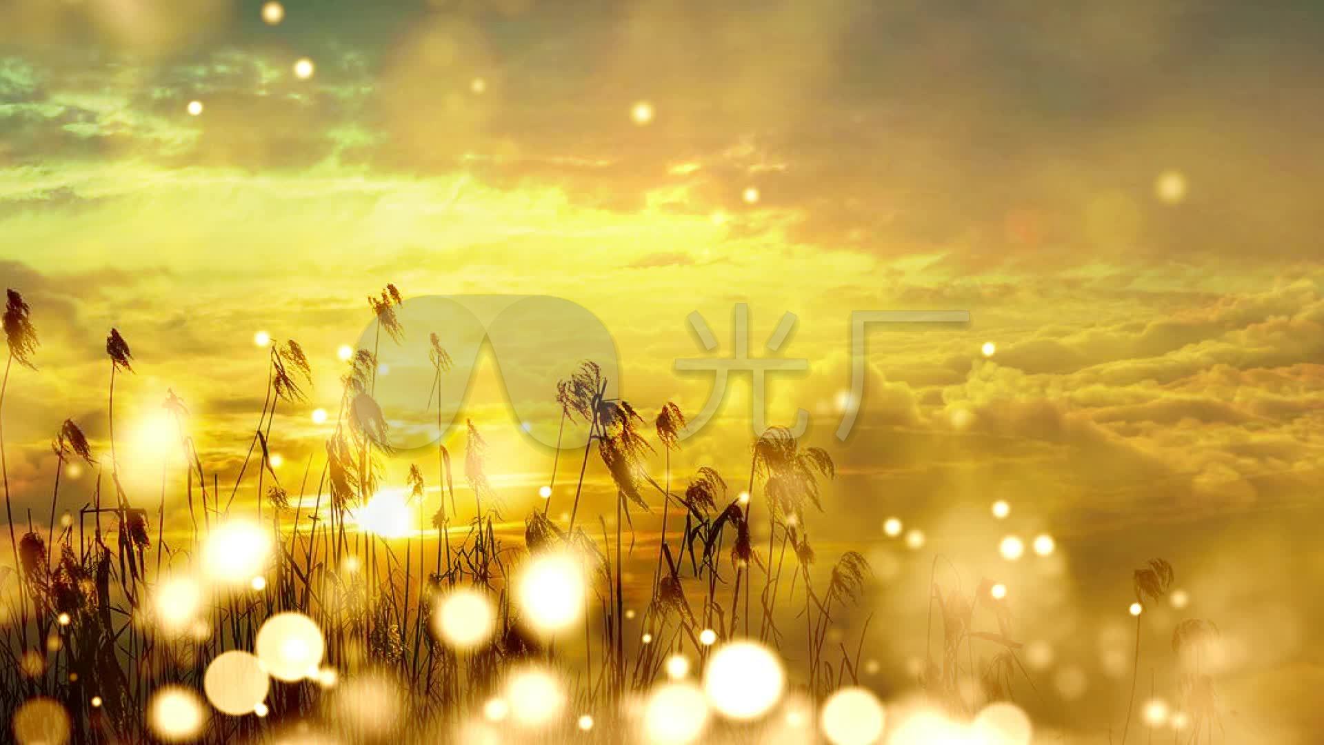 最美的太阳配乐成品励志歌曲背景_1920x1080_高清视频