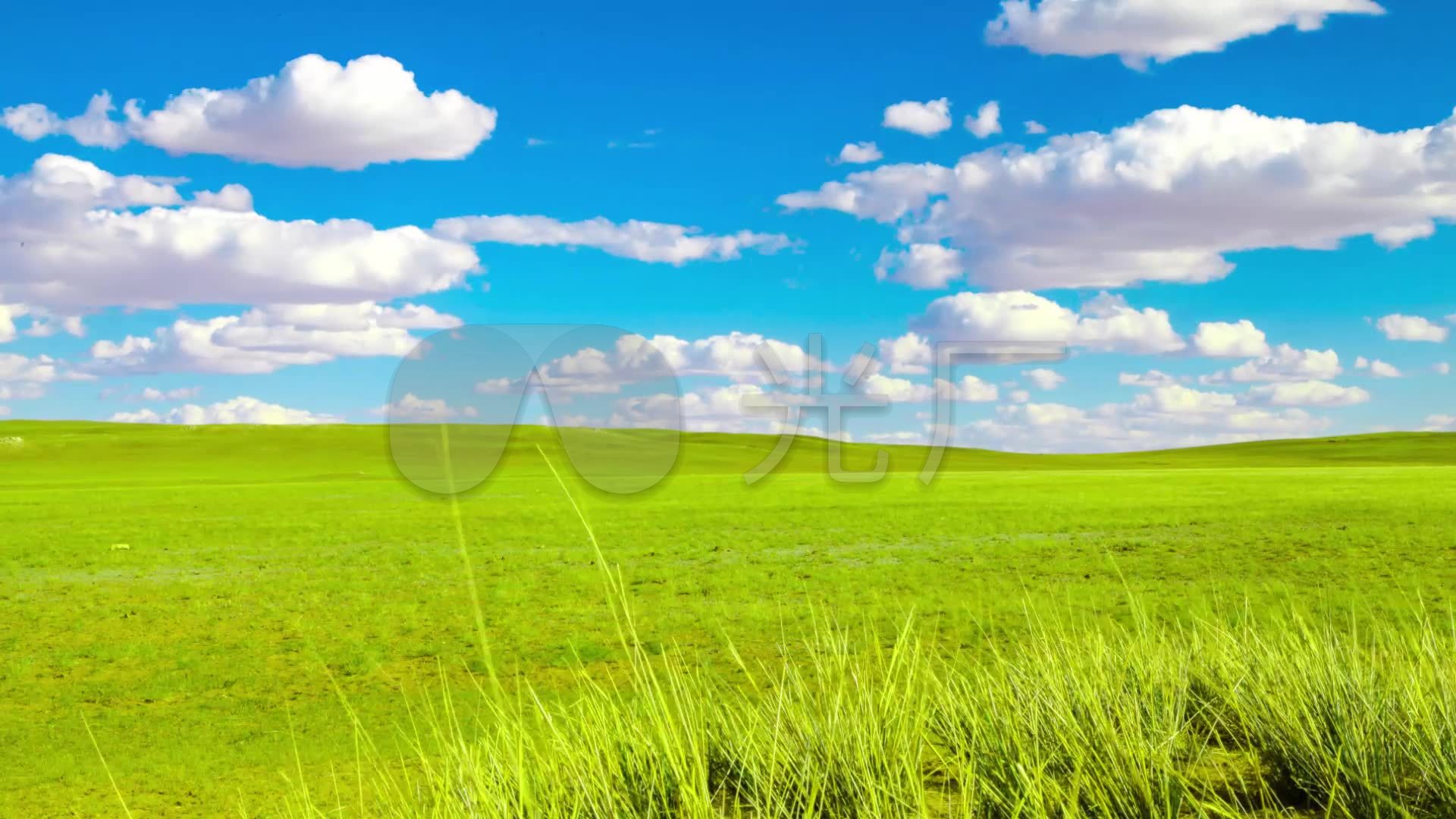 1920*1080草原,1920*1080 草原风景延时蓝天白云_1920x1080_高清视频素材下载