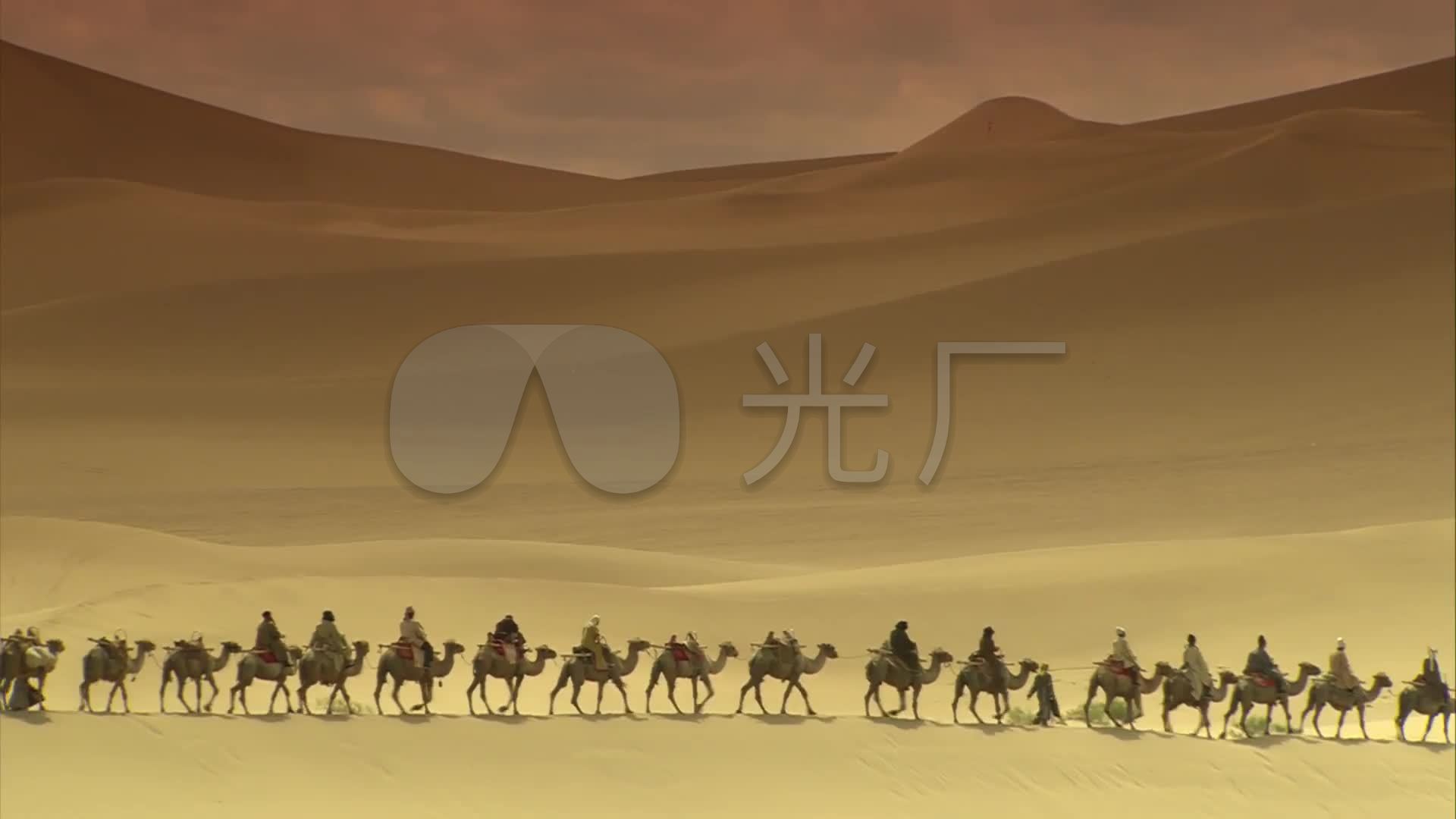 沙漠骆驼丝绸之路_1920x1080_高清视频素材下载(编号