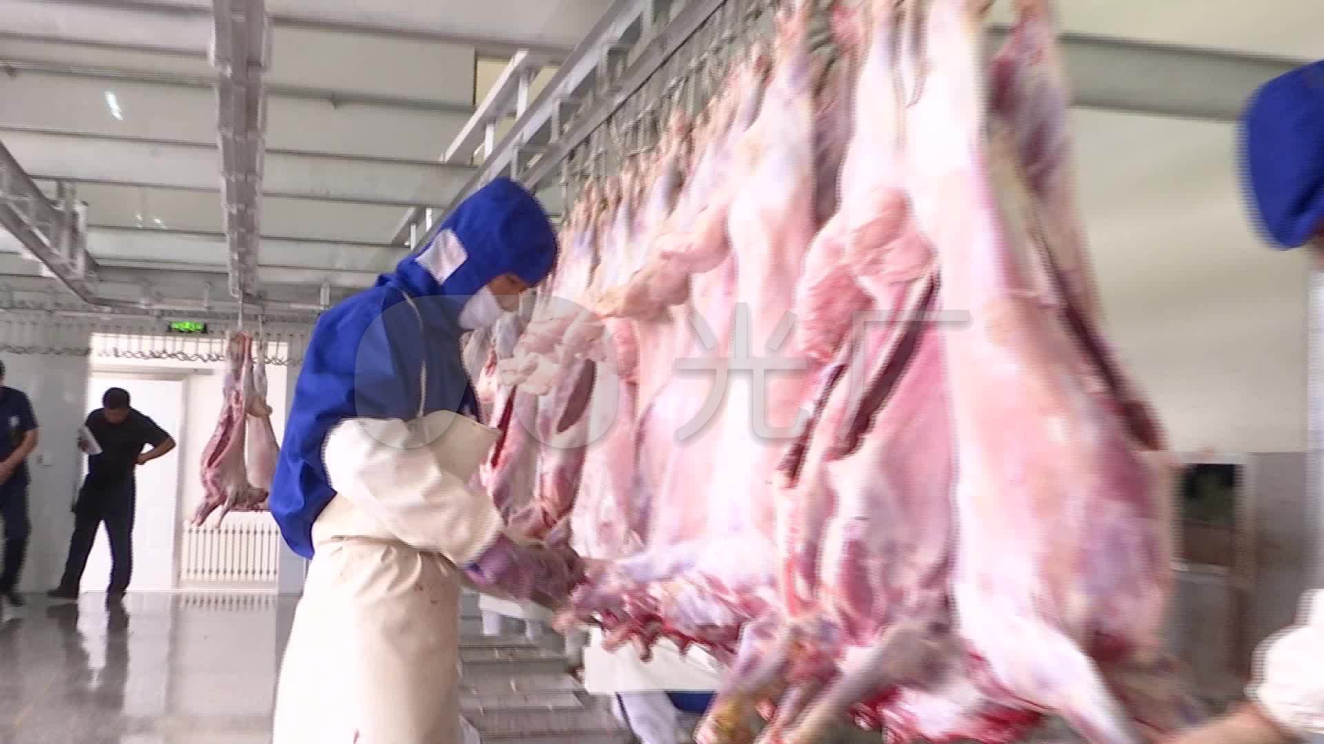 屠宰厂牛肉羊肉猪肉分割生产线肉类加工视频_