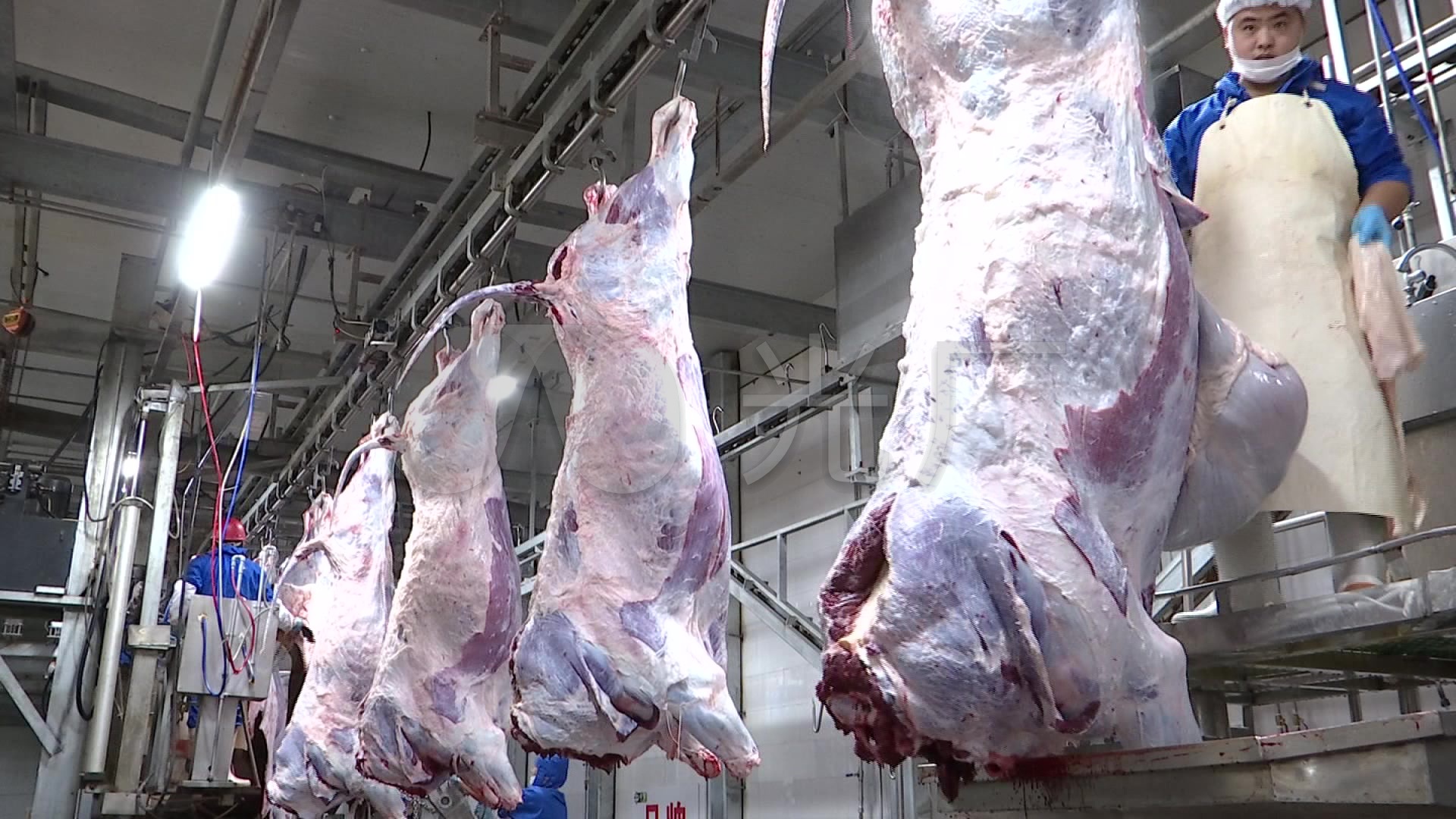 牛肉蛋糕视频分割屠宰厂肉类加工素材猪肉_1自制羊肉魔芋图片