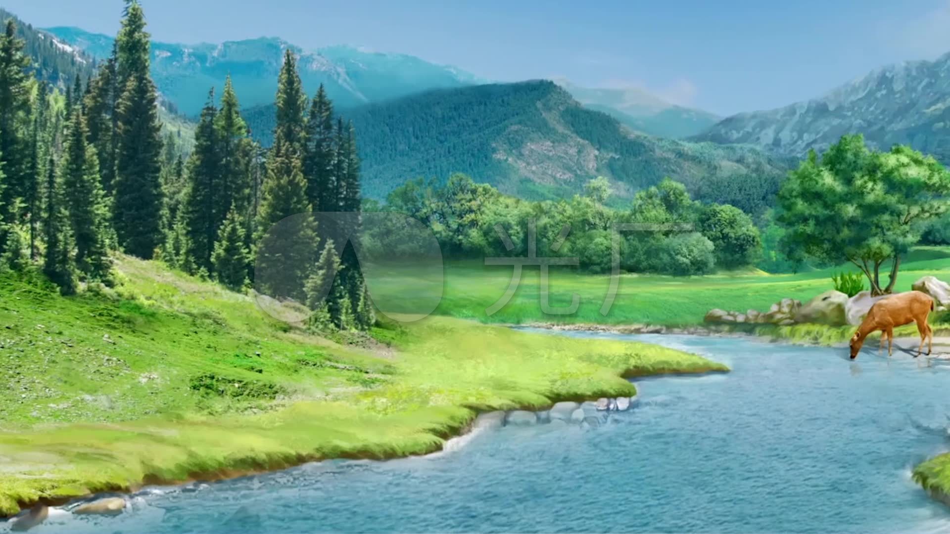 小溪边小鹿喝水