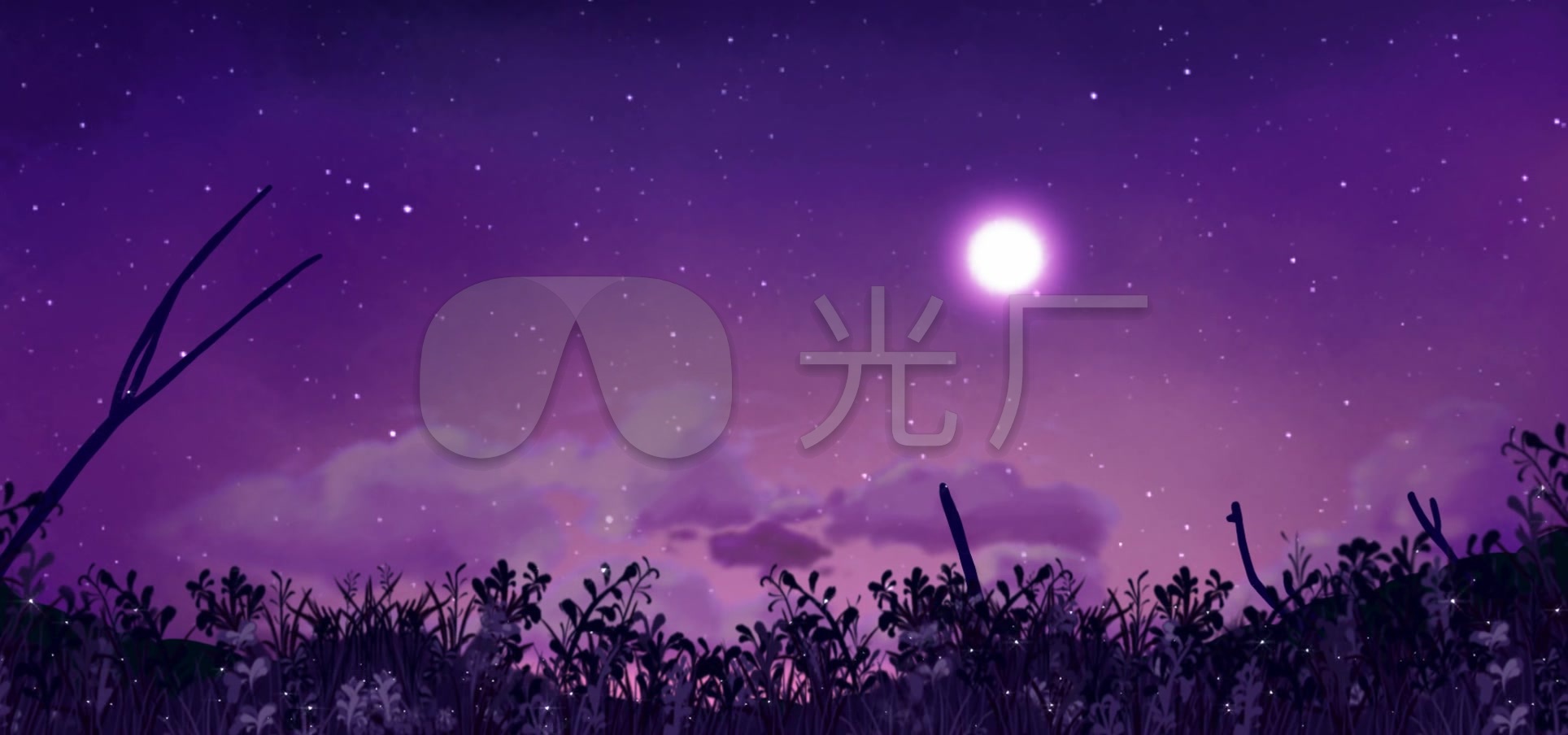星空月下浪漫背景视频