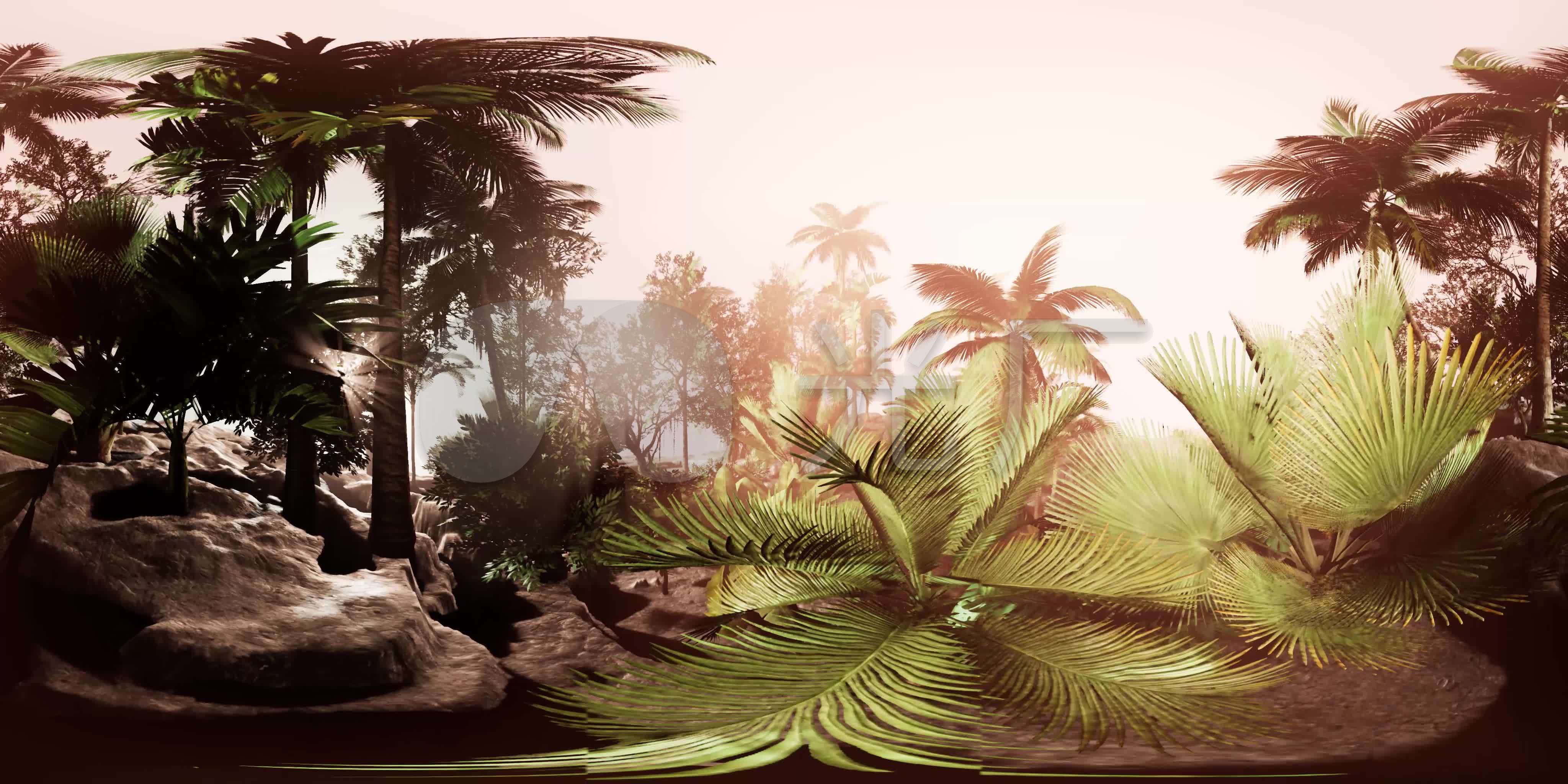 热带丛林vr全景