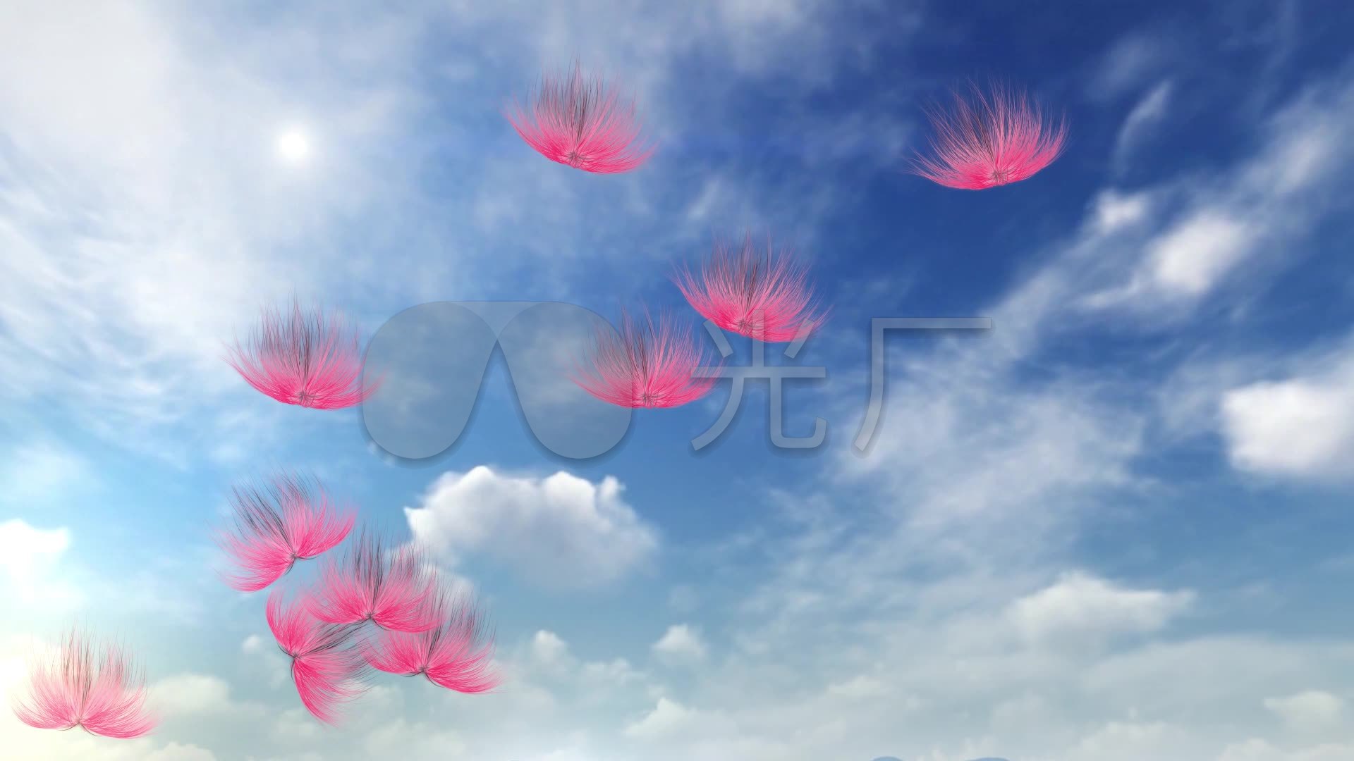 绒花_1920x1080_高清视频素材下载(编号:2991799)__vj
