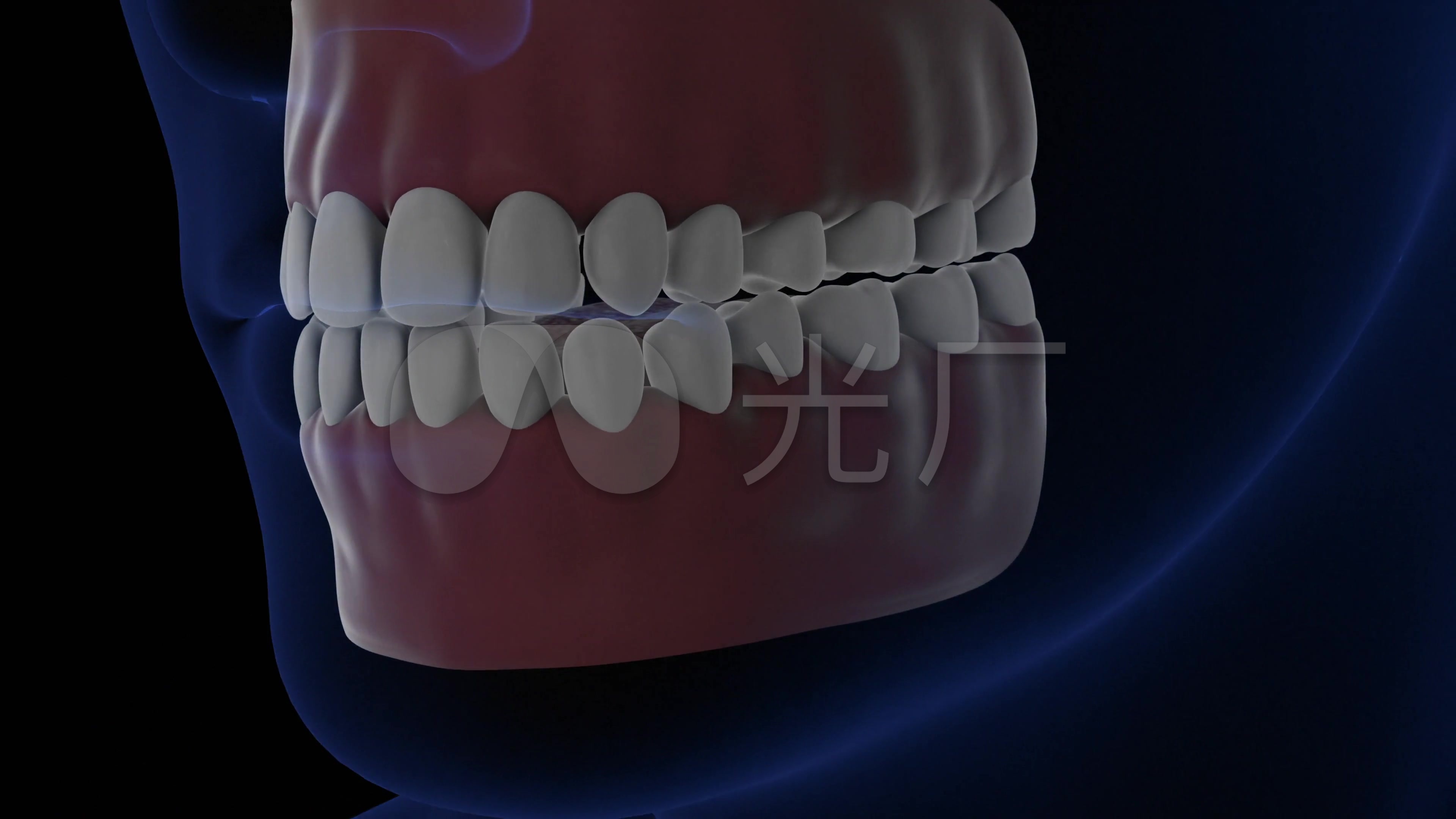 人体牙齿结构人脸透视_3840x2160_高清视频素材下载(编号:2992127)