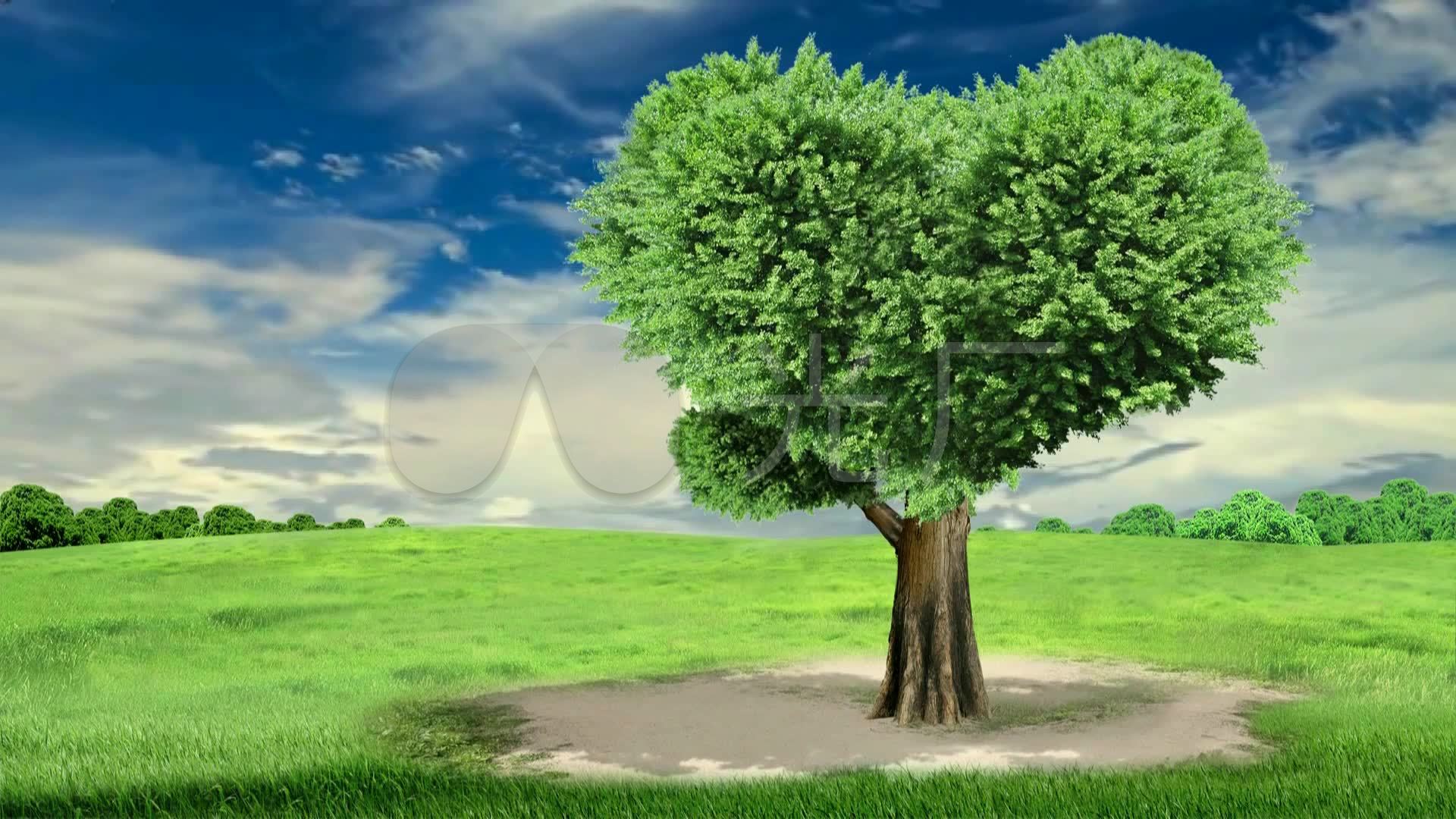 一颗绿色大树背景_1920x1080_高清视频素材下载(编号