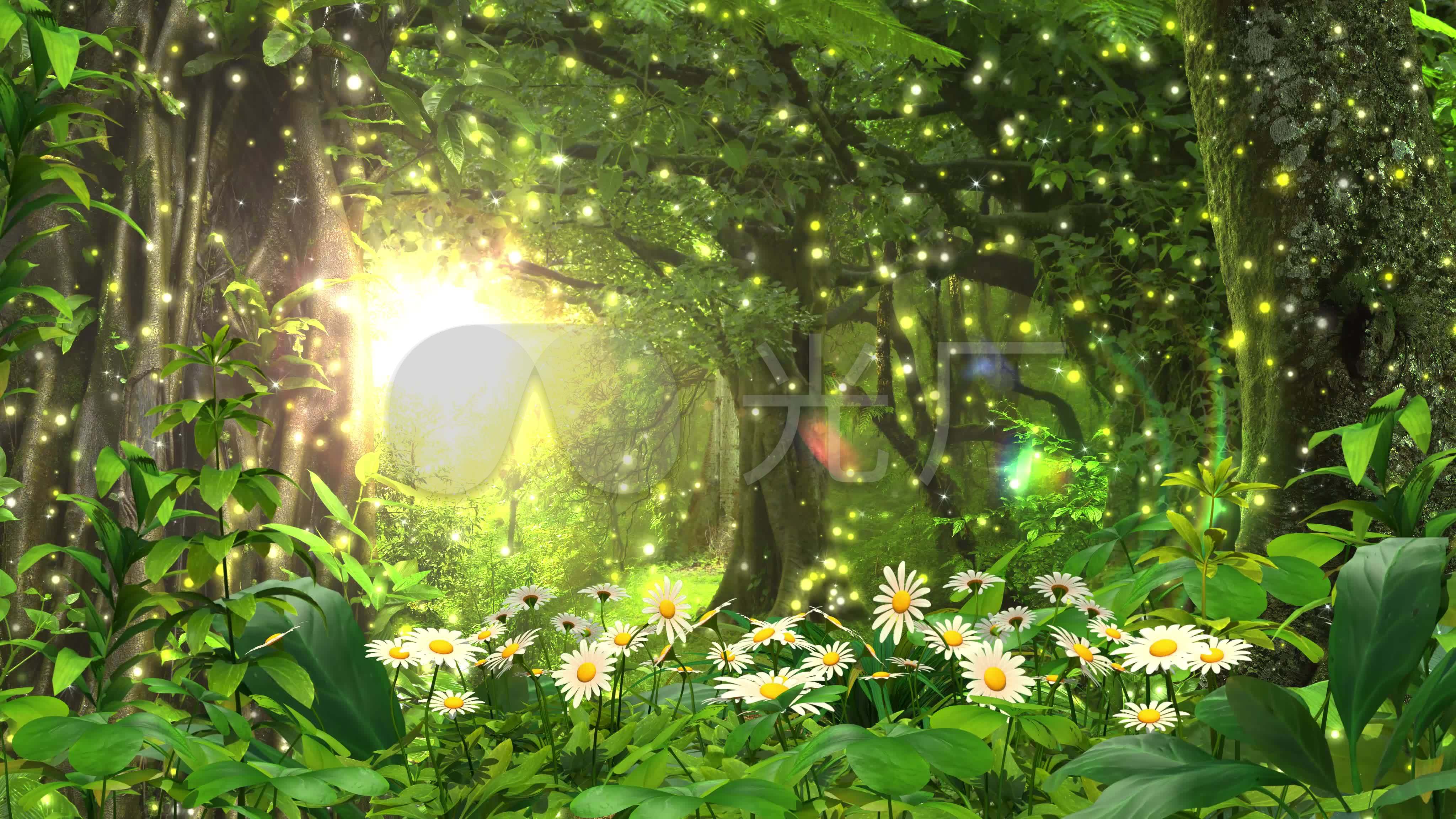 4k超唯美森林仙境背景_4096x2304_高清视频素材下载