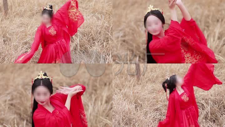 汉服美女古装美女古装汉服_视频素材包下载(编号:)
