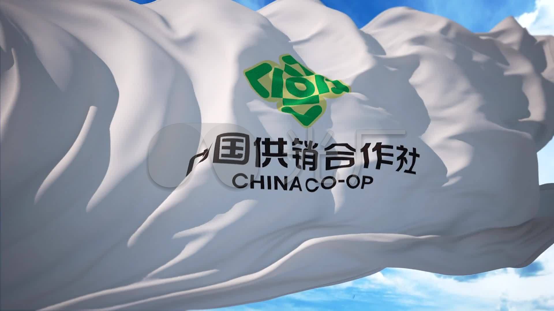 供销社中国供销合作社旗帜飘扬改革开放_1920x1080