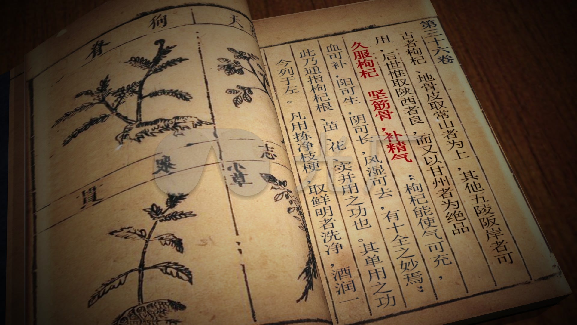 中医本草纲目古医书枸杞枸杞子_1920x1080_高清视频素材下载(编号