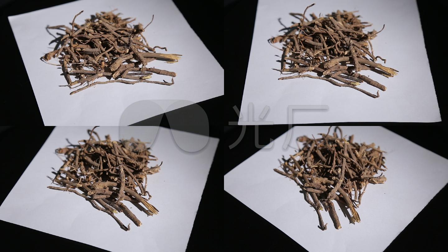 草药白头公