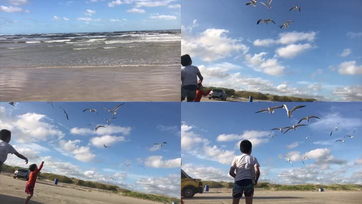 海边海鸥孩子追海鸥