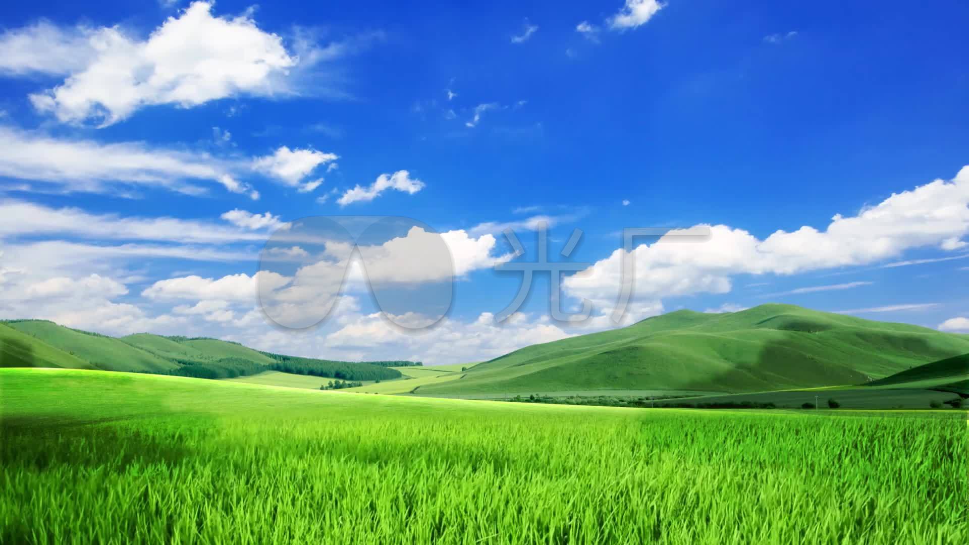 超长唯美草原背景视频_1920x1080_高清视频素材下载