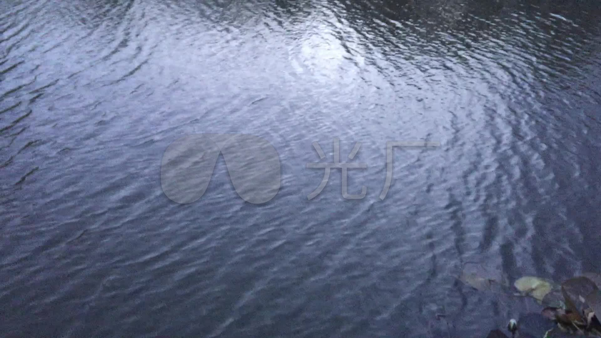 实拍 清晨 池塘 水面 波纹 高清