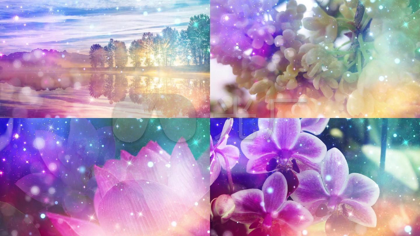 《你是人间四月天》诗歌朗诵背景