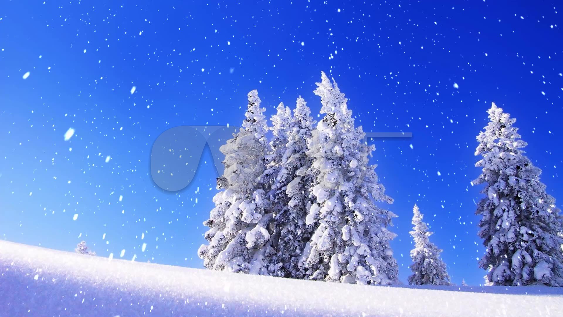 雪天大树雪花飘落led动态视频素材冬天景