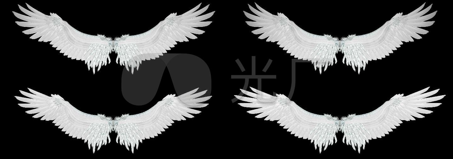 翅膀_3400x1200_高清视频素材下载(编号:3040924)__vj