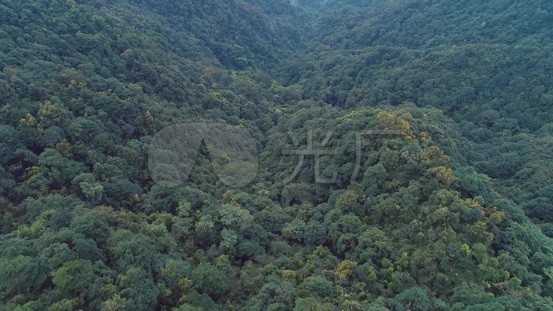 广西原始森林山脉航拍树林_1920x1080_高清视频素材