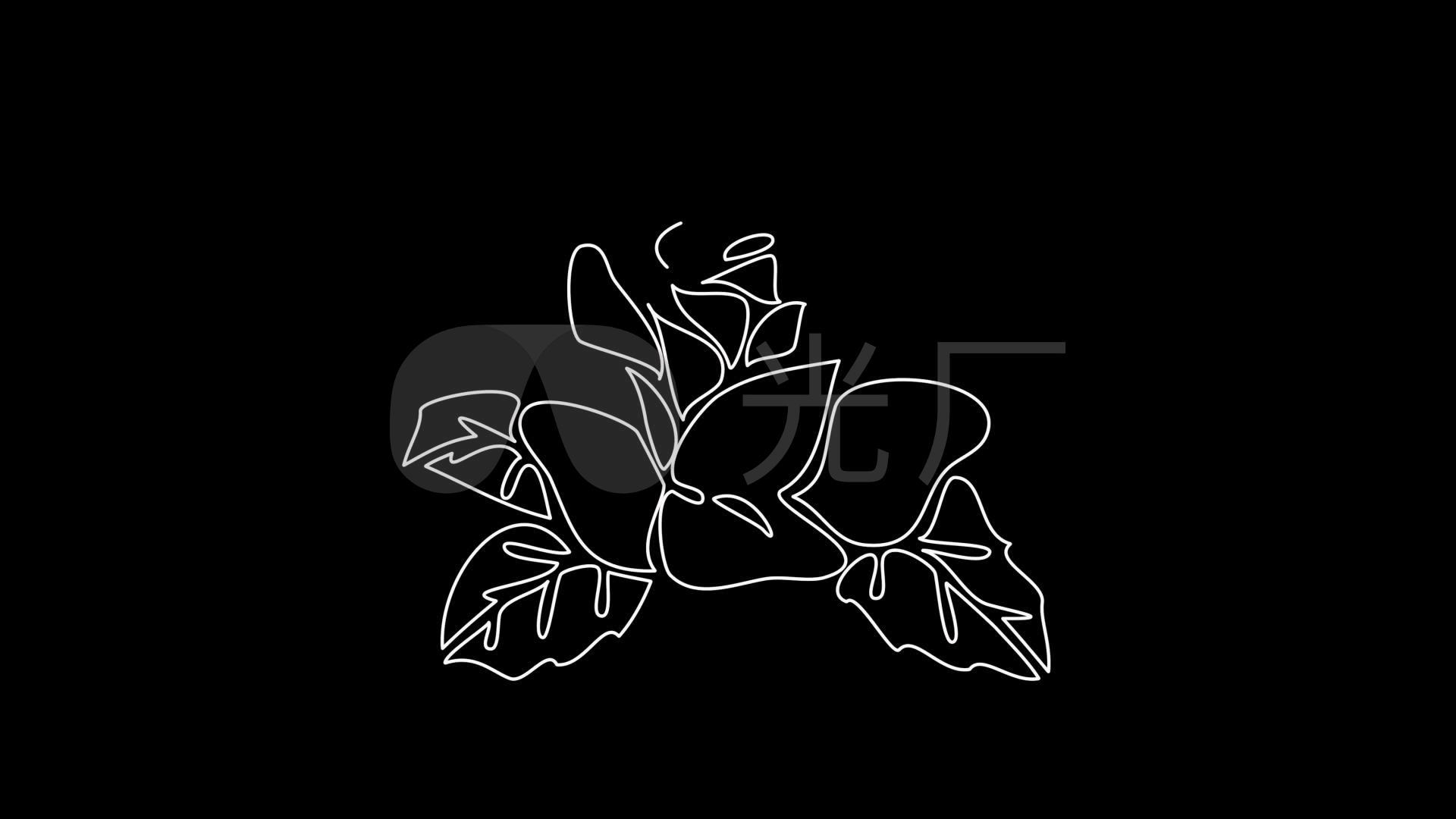 绘制一朵玫瑰花简笔画动画带通道