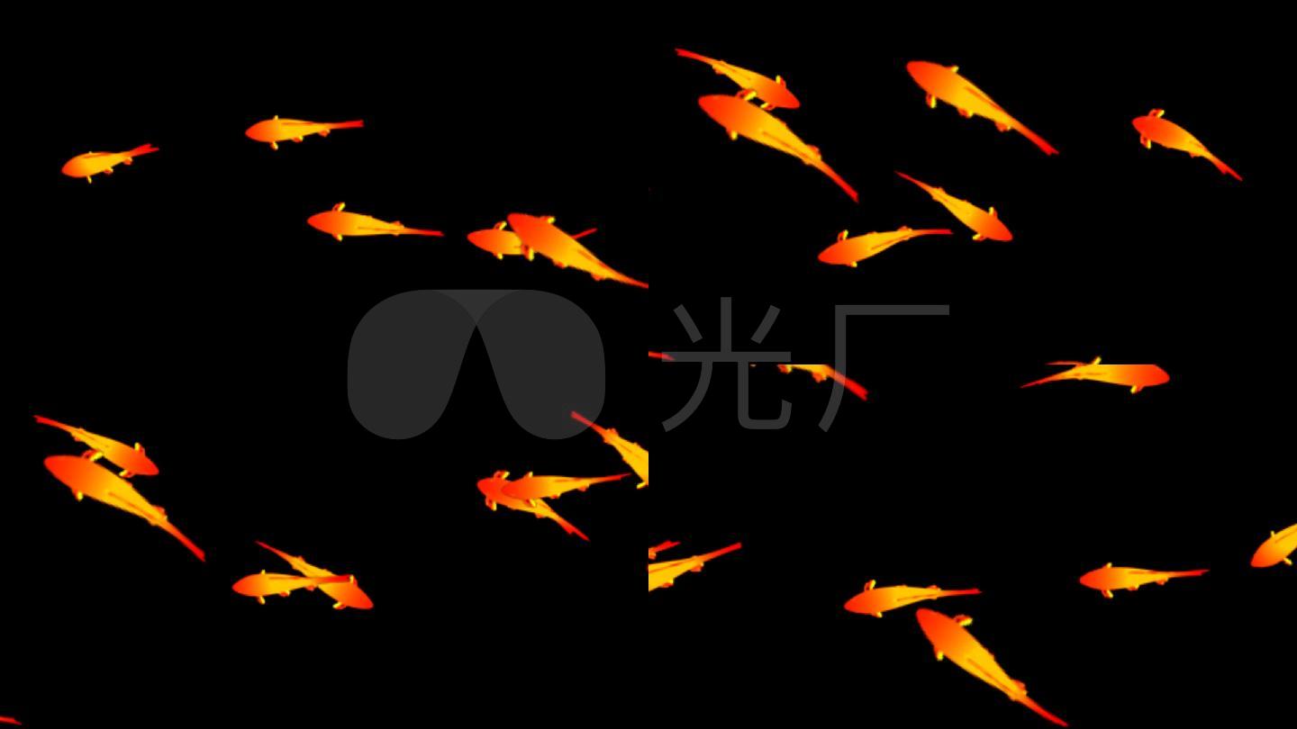 鱼游动 锦鲤 金鱼-透明通道