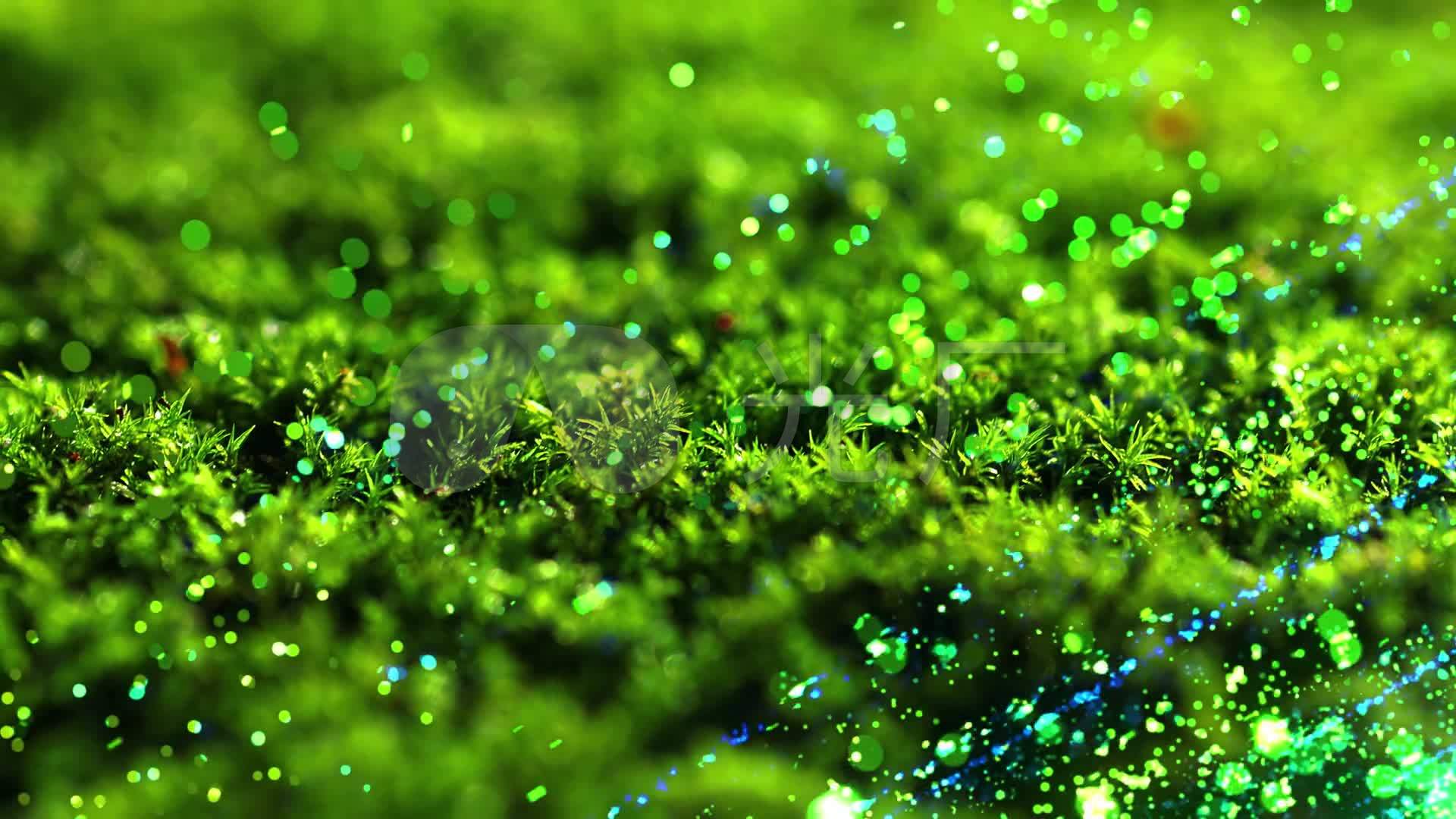 歌曲《苔》背景视频_1920x1080_高清视频素材下载(:)