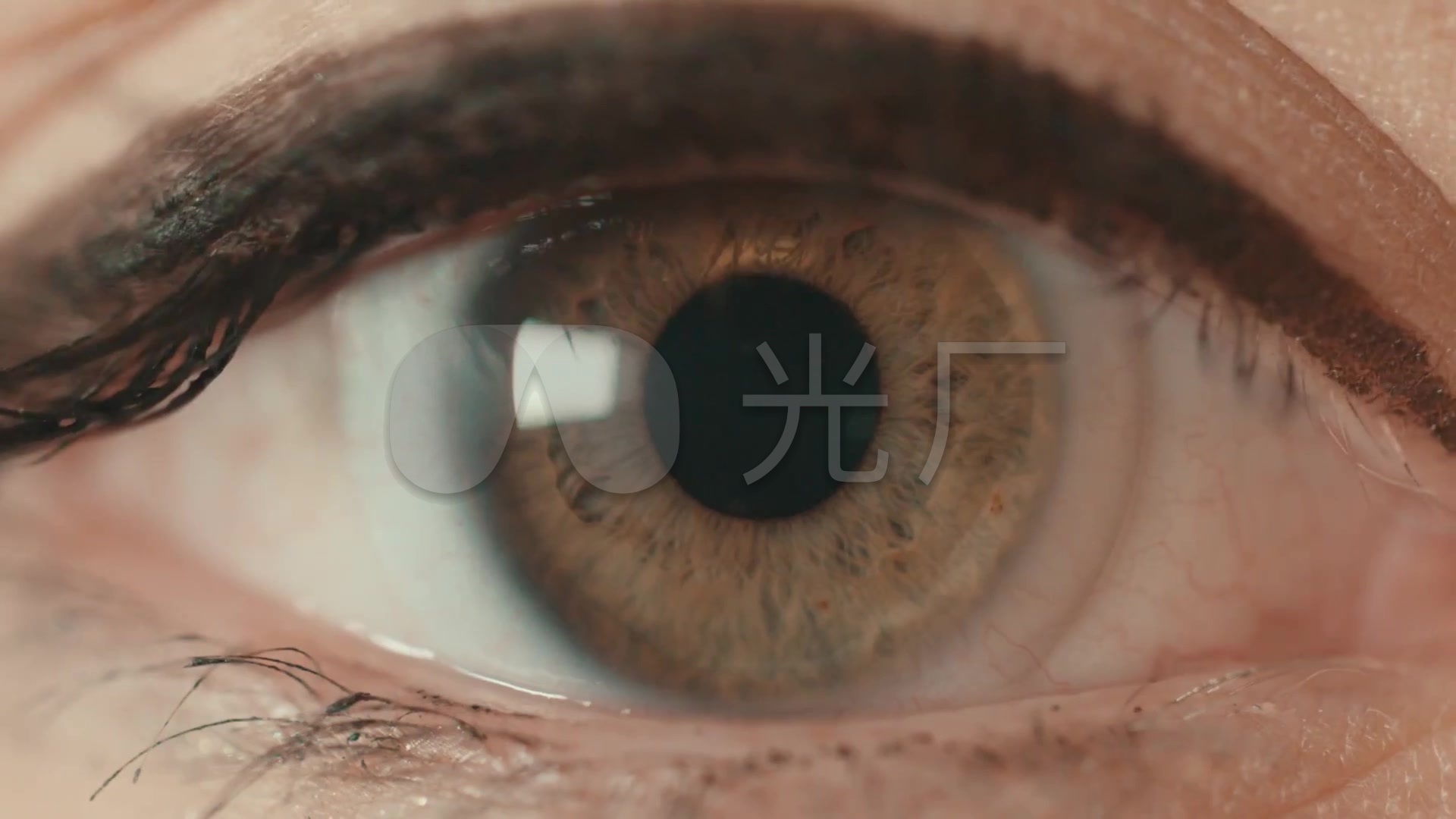 各种眼睛唯美特写