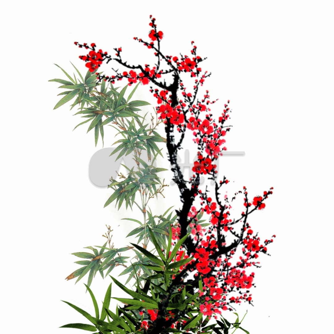 中国风竹子红梅梅花腊梅带透明通道视频素材