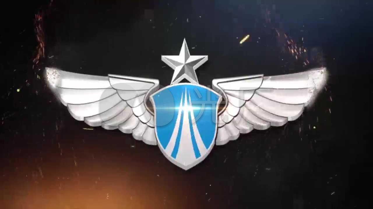 空军胸标震撼展示退伍视频_视频素材包下载(编号:)
