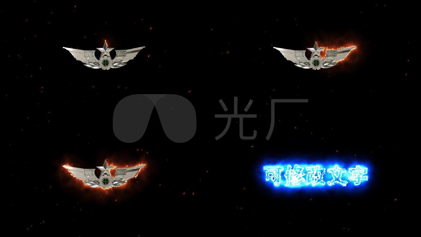 陆军胸标logo