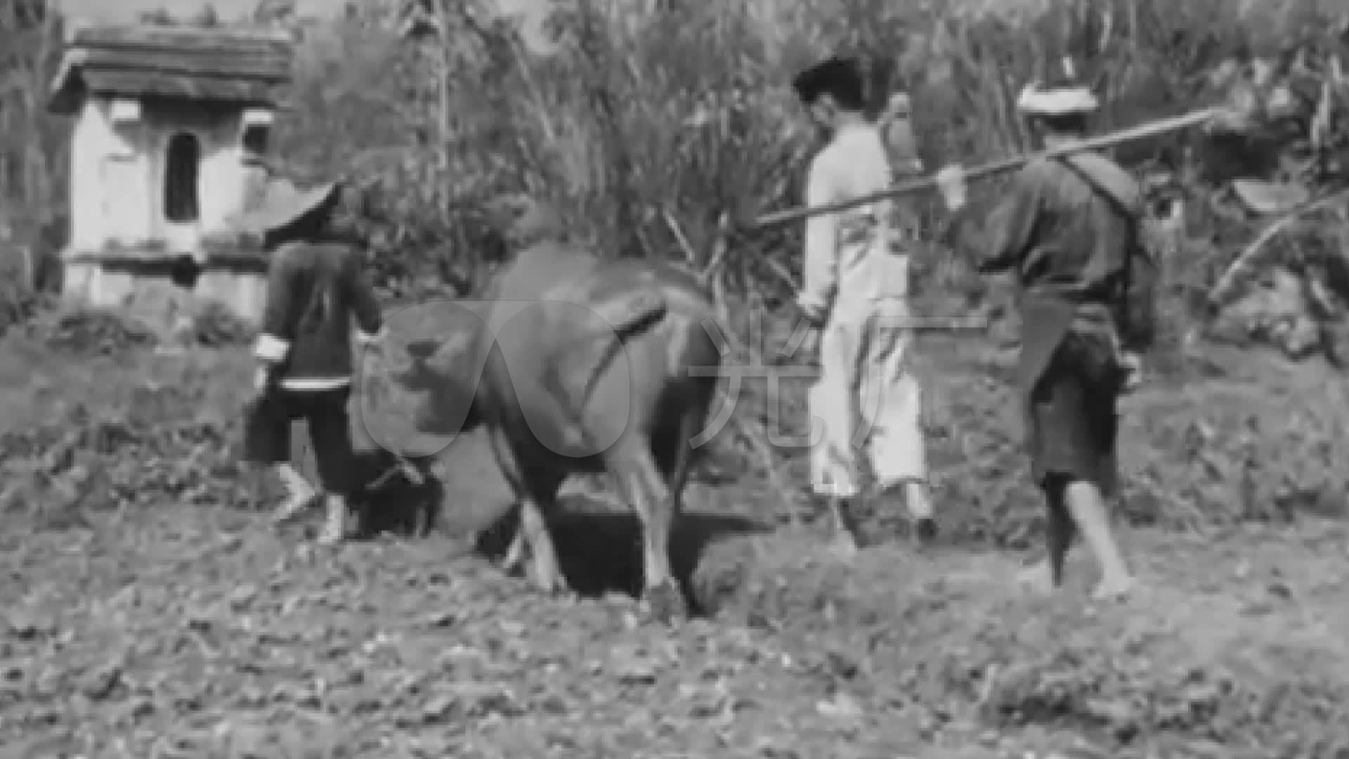 30年代中国农村风光