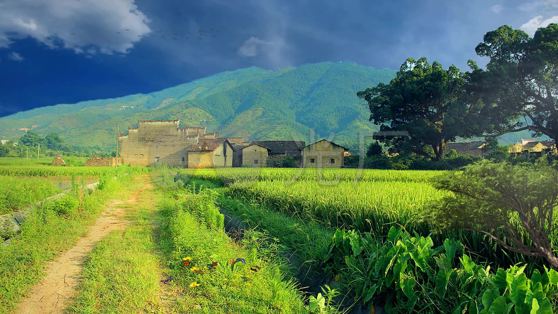 山脚下的村庄背景