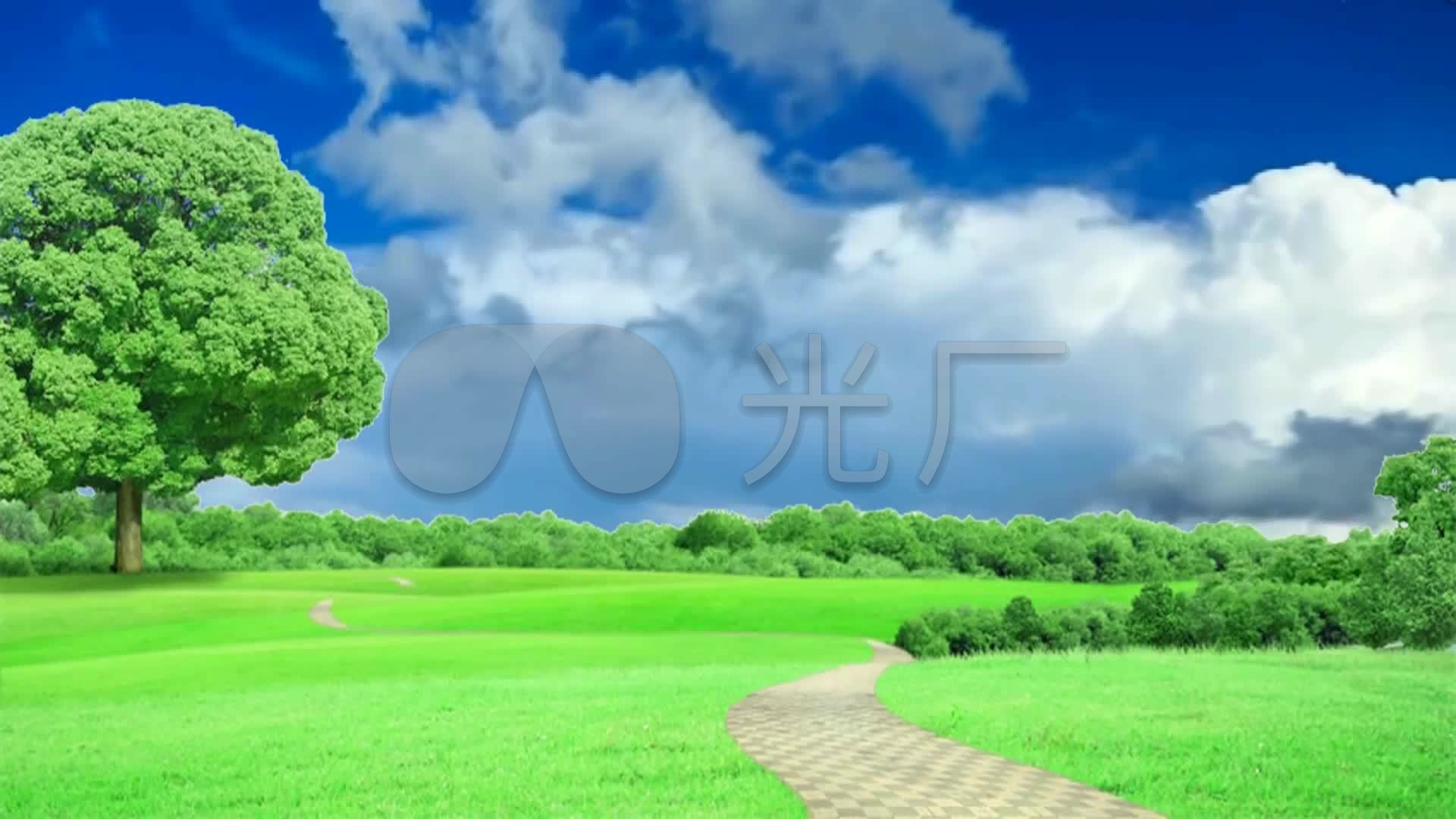 清新绿色草地树蓝天白云背景