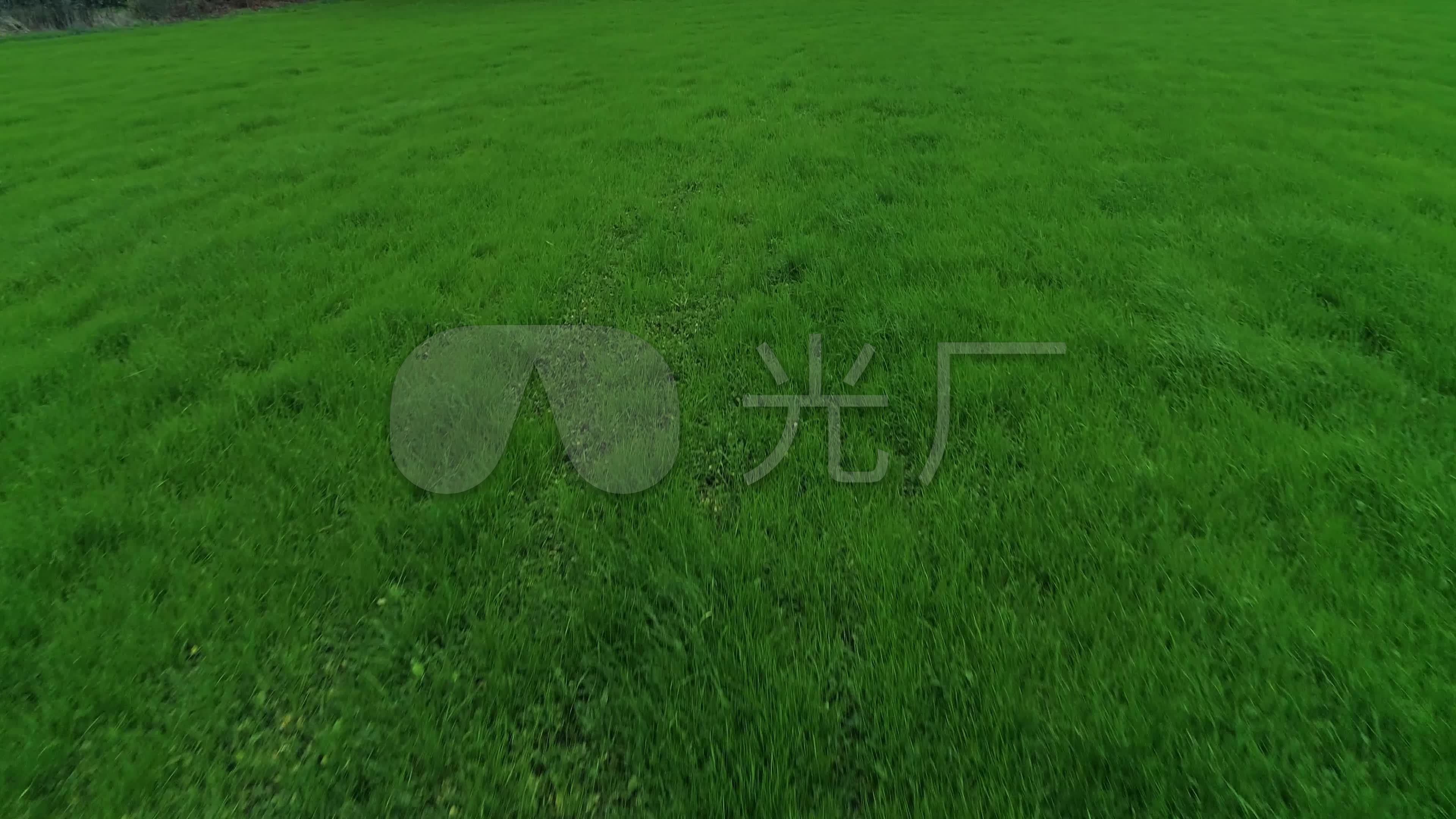 绿茵_3840x2160_高清视频素材下载(编号:3121994)__vj