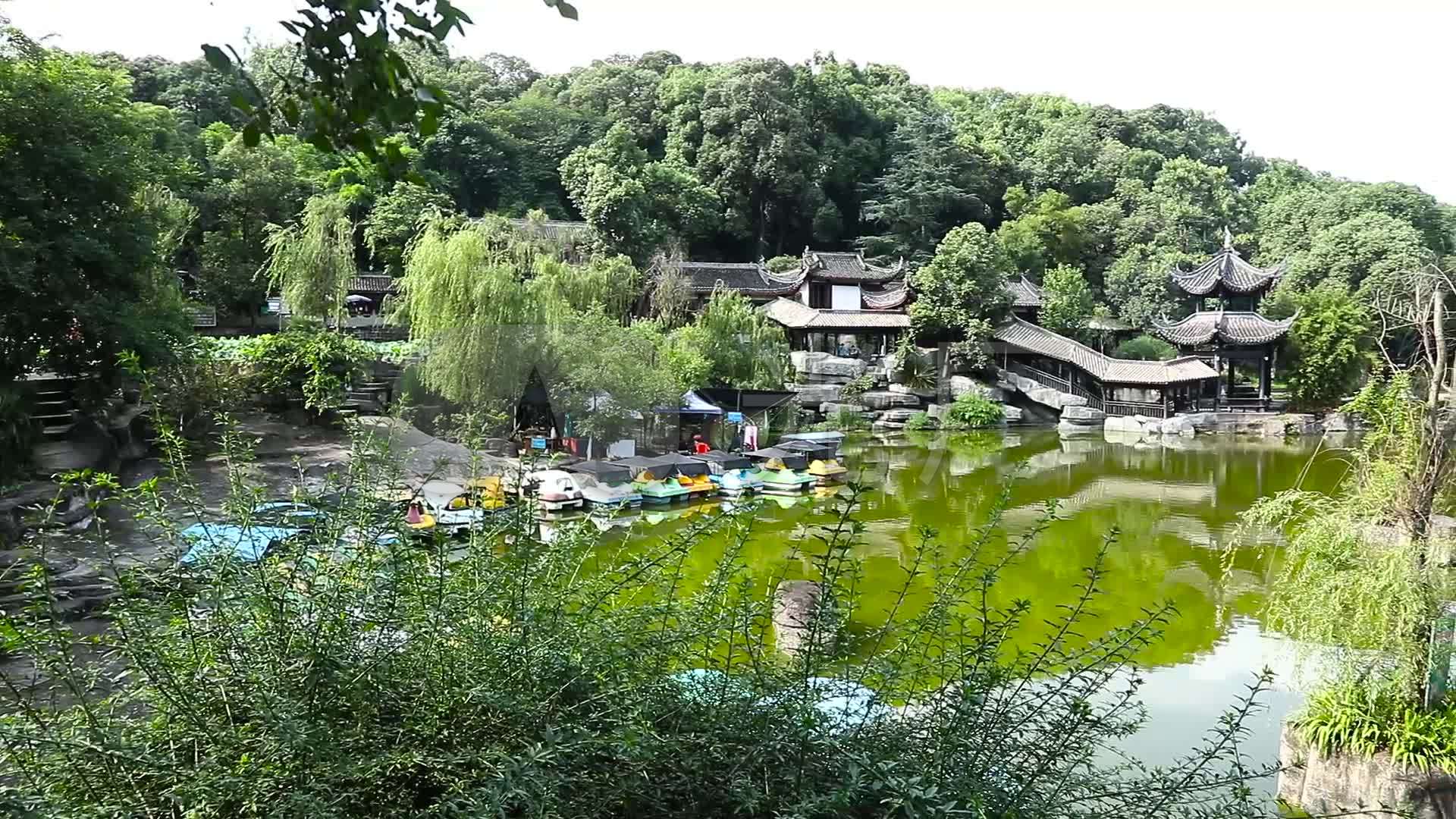 绵阳西山公园夏天风景实拍素材