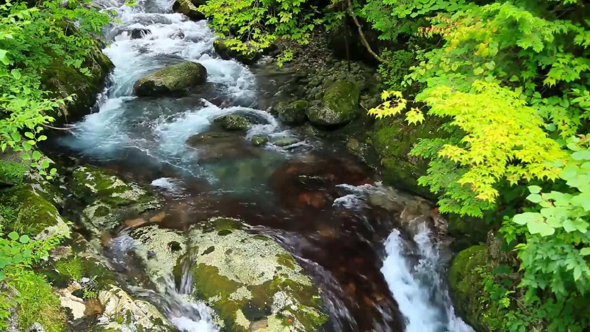 上一页 / 下一页 键盘左右键也可以翻页哟画质举报 山涧溪流溪水自然
