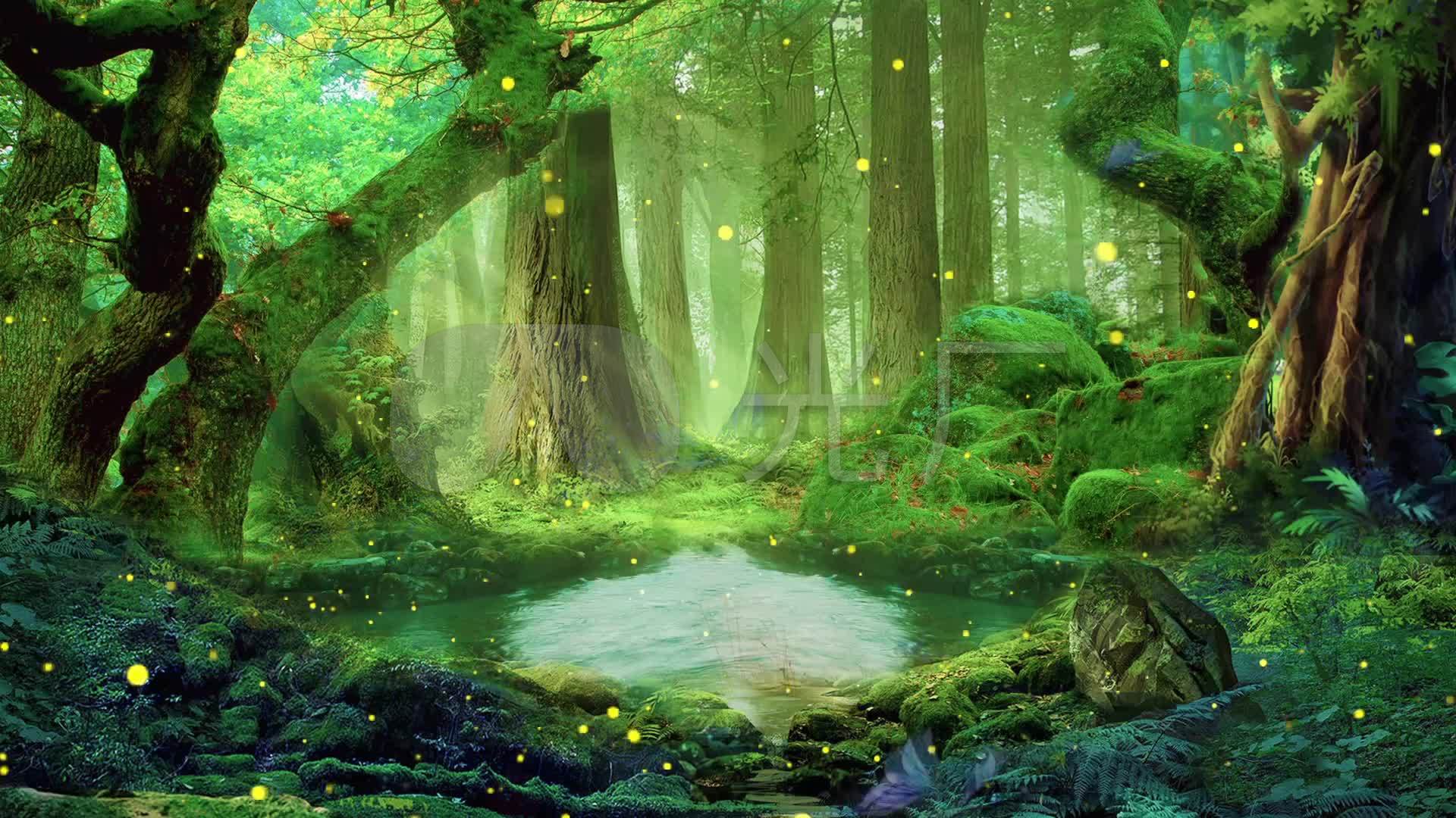 梦幻森林壁纸 万图壁纸网
