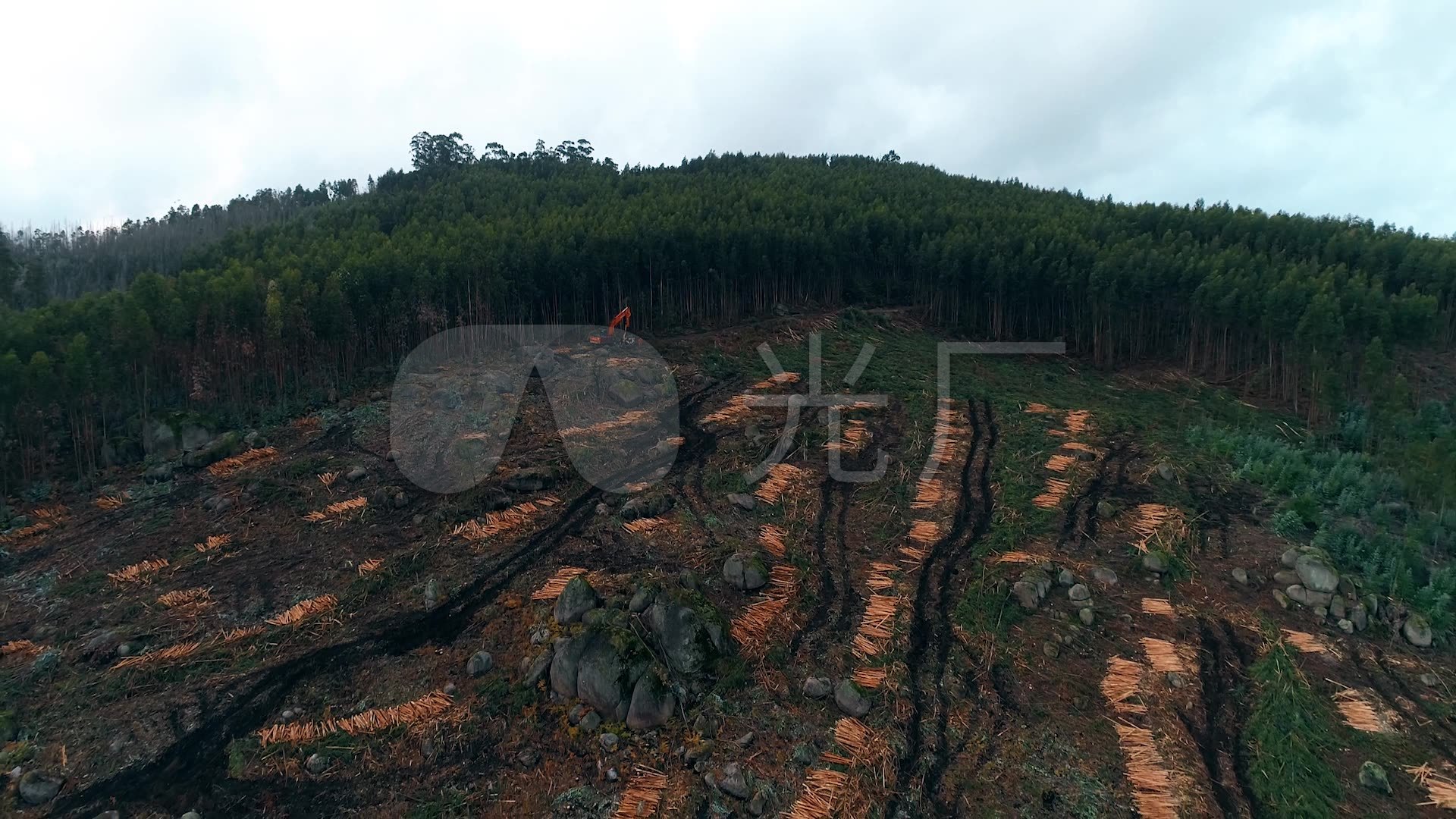 航拍森林伐木砍伐树木破坏植被环境