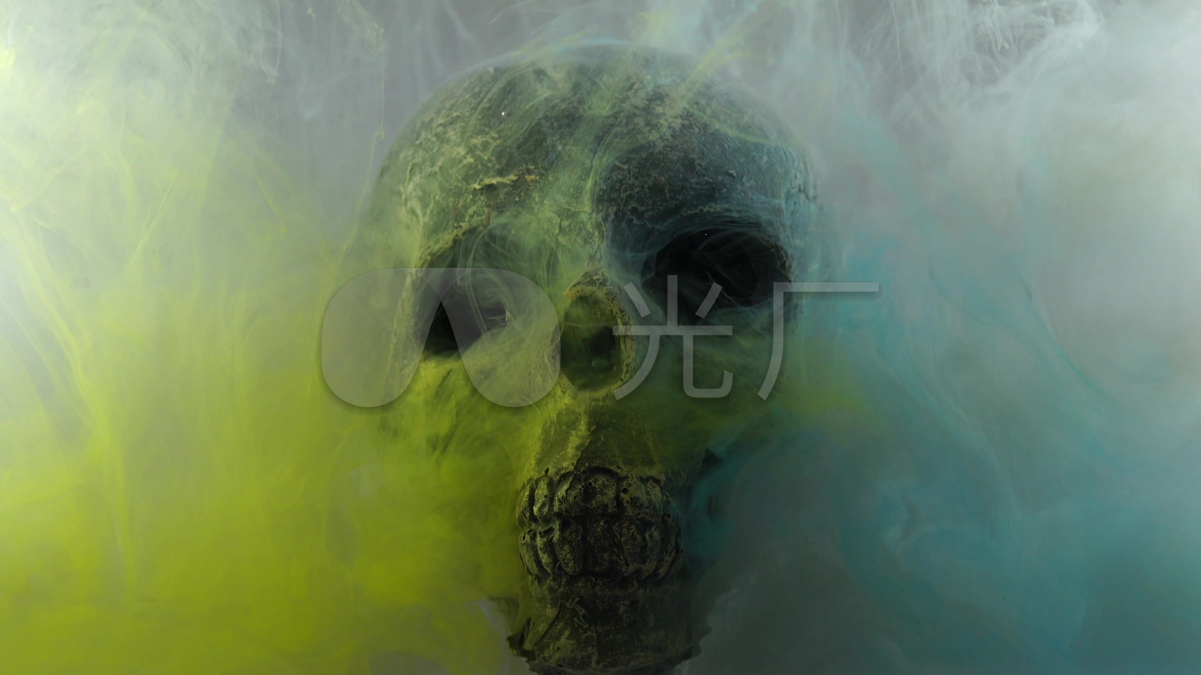 骷髅头艺术唯美水墨死亡