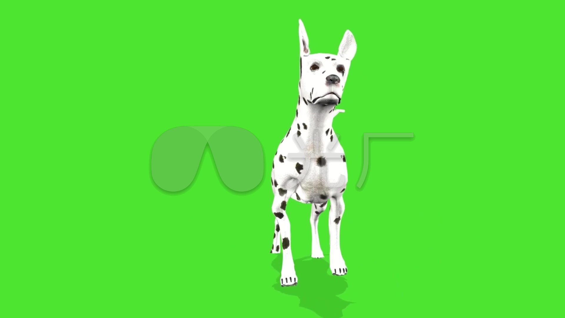 斑点狗绿幕抠像素材