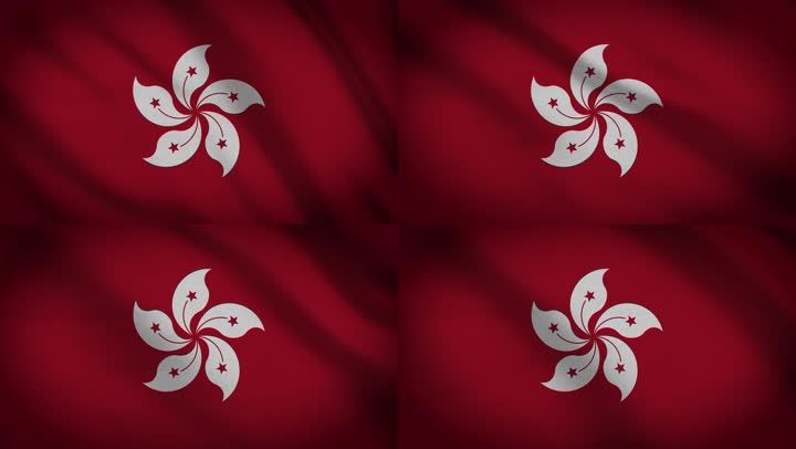 香港区旗动态紫荆花