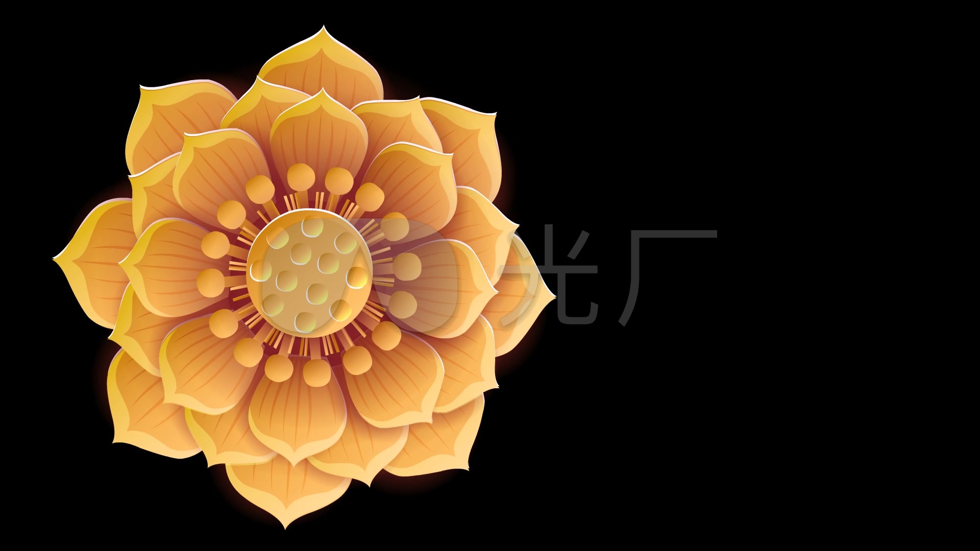 新年素材-金色莲花_1920x1080_高清视频素材下载(编号