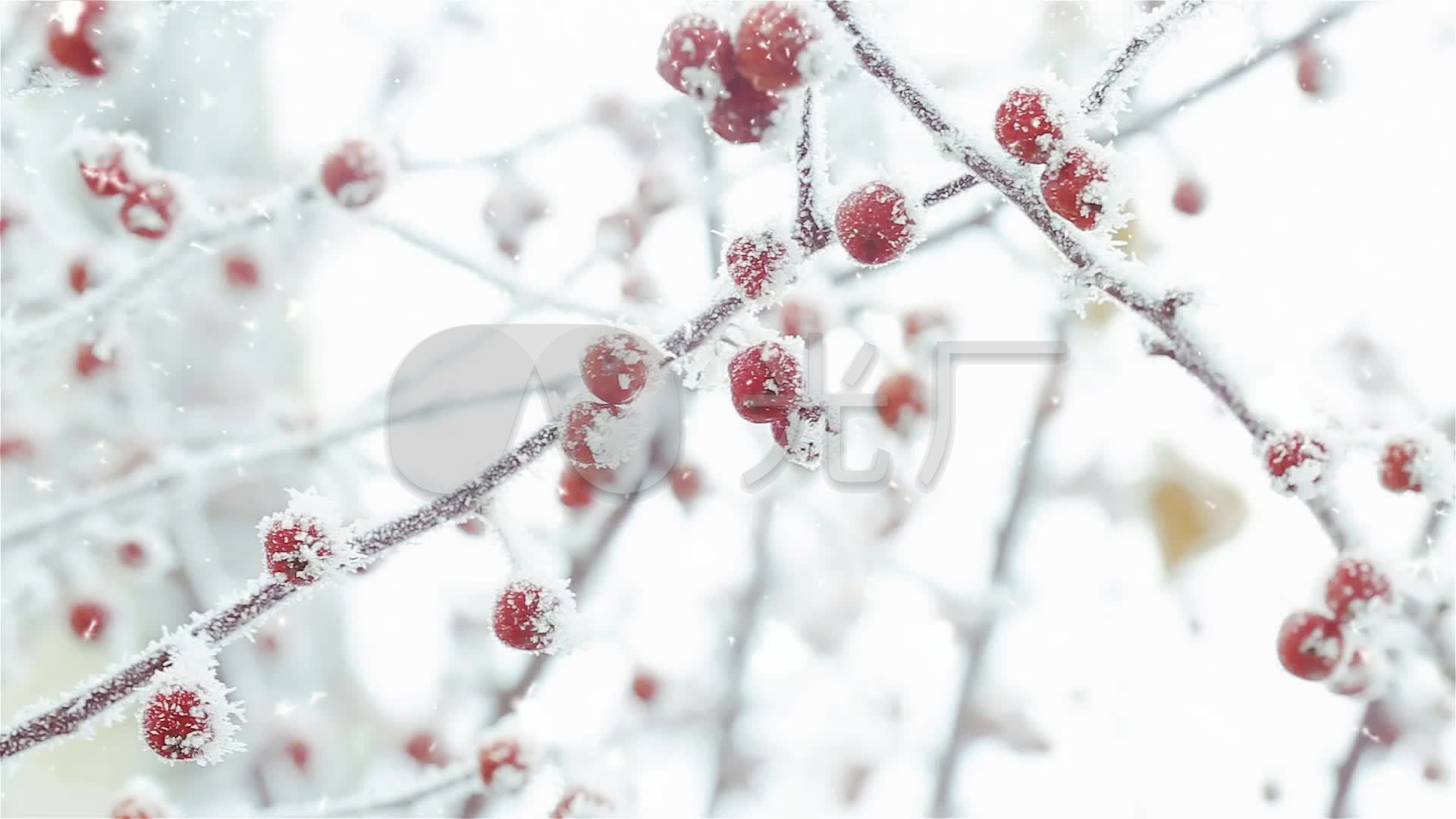 棠梨煎雪配乐成品_1920x1080_高清视频素材下载(编号