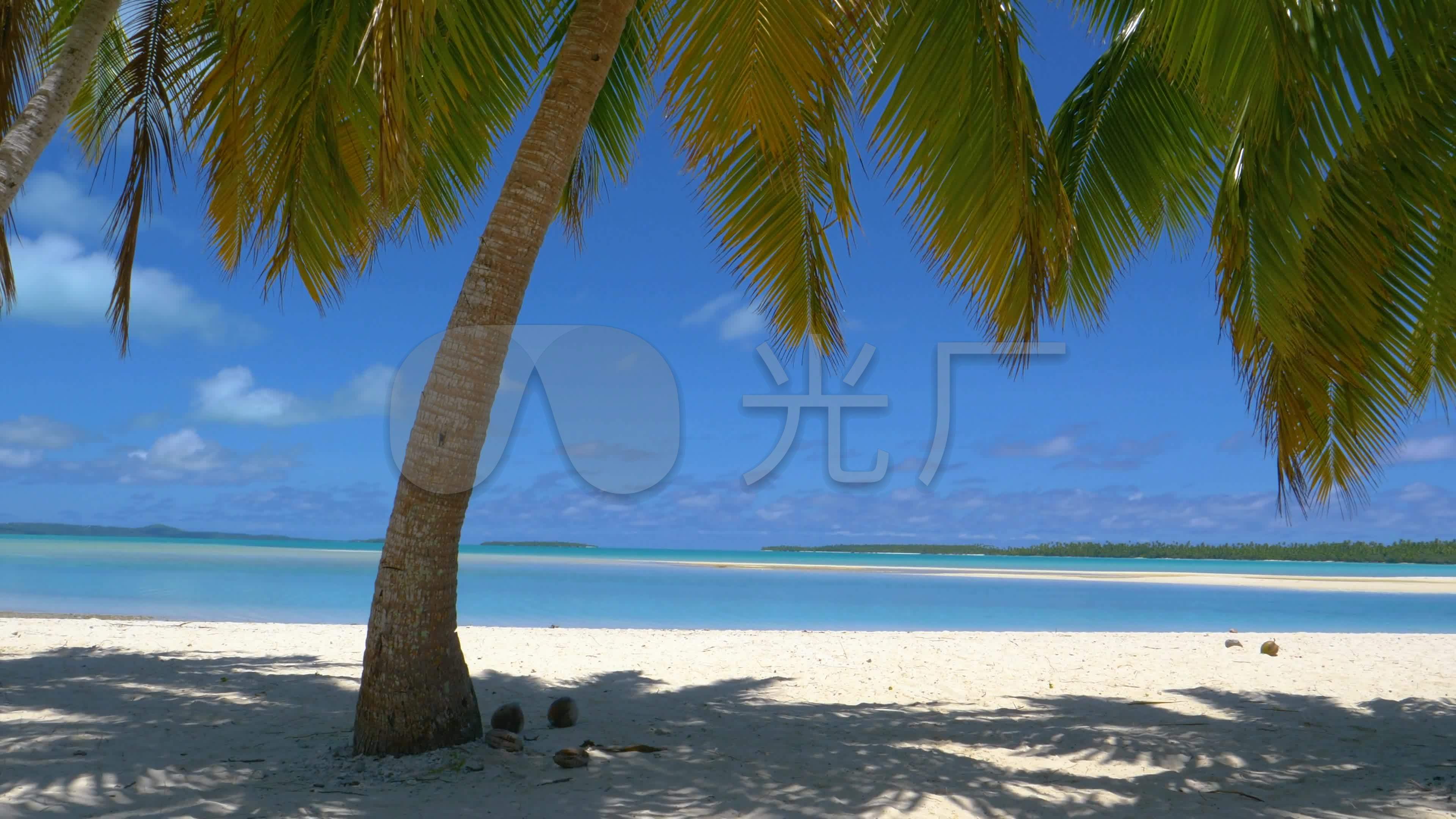 热带海洋热带风情椰子树椰林_3840x2160_高清视频素材下载(编号