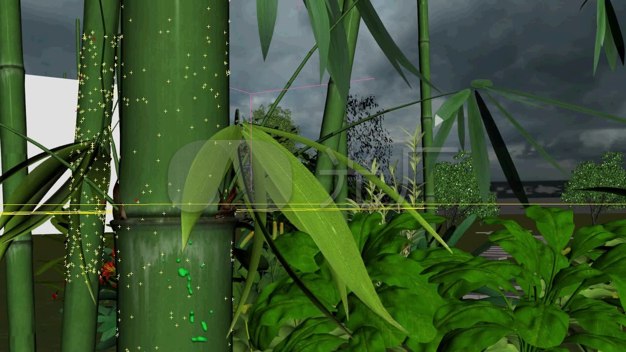 竹子竹园竹林水滴一点水rf_7(编号:3266)_