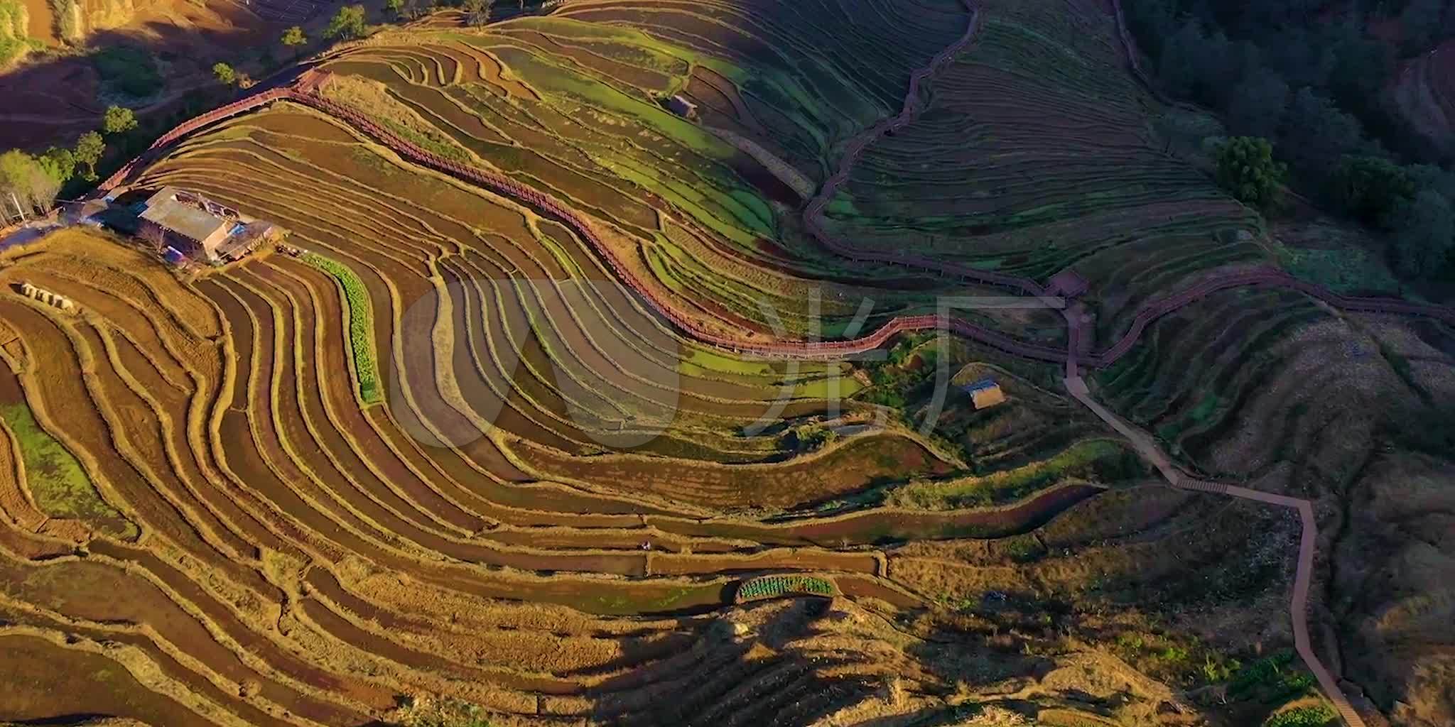 米易新山梯田