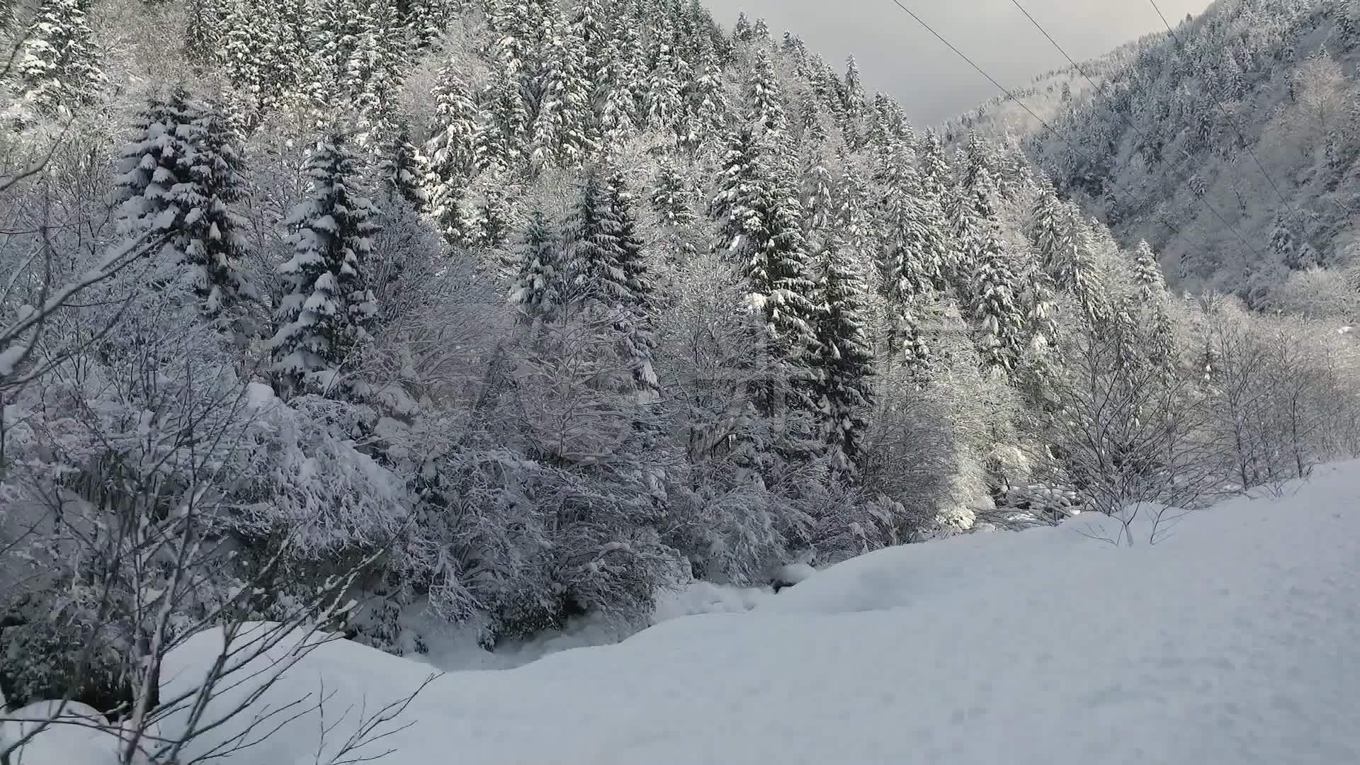 雪天驾车冬季雪原树挂雪_1920x1080_高清视频素材下载
